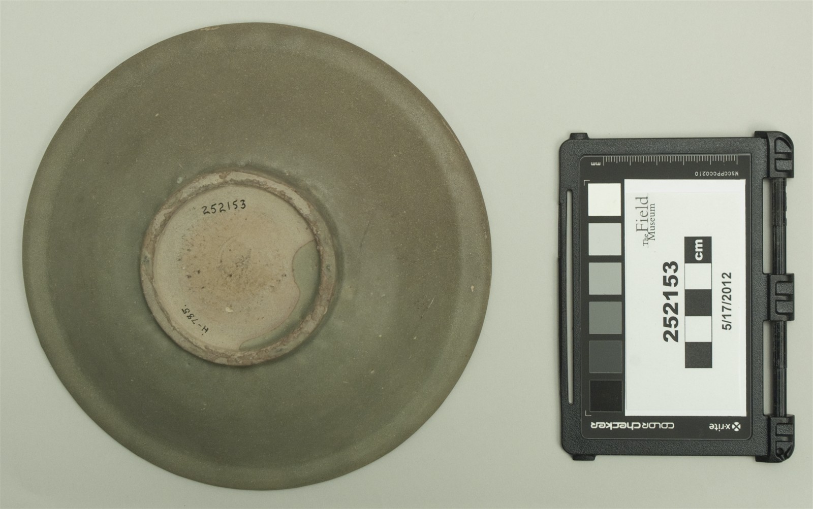 bottom (c) Field Museum of Natural History - CC BY-NC 4.0