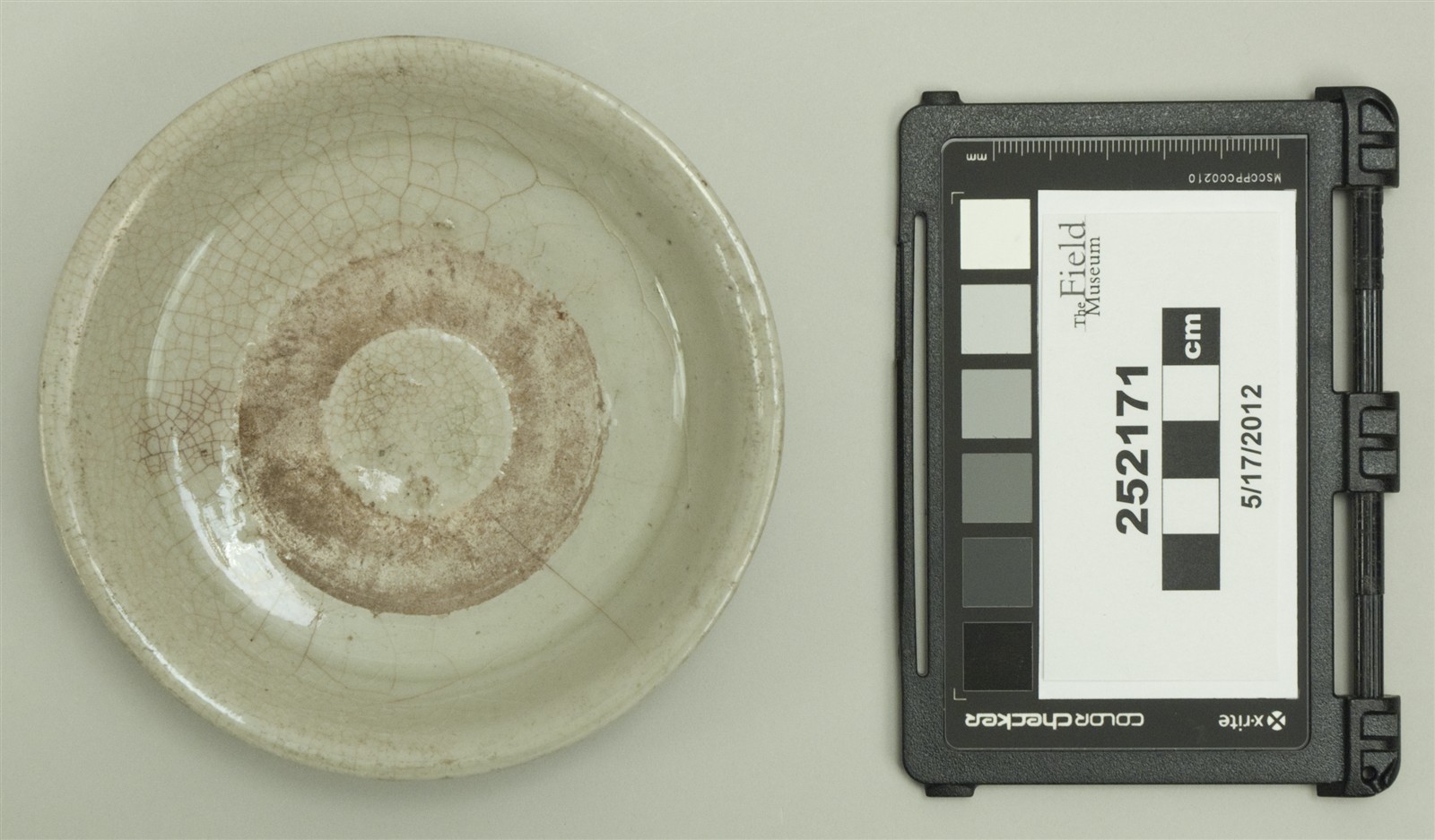 top (c) Field Museum of Natural History - CC BY-NC 4.0