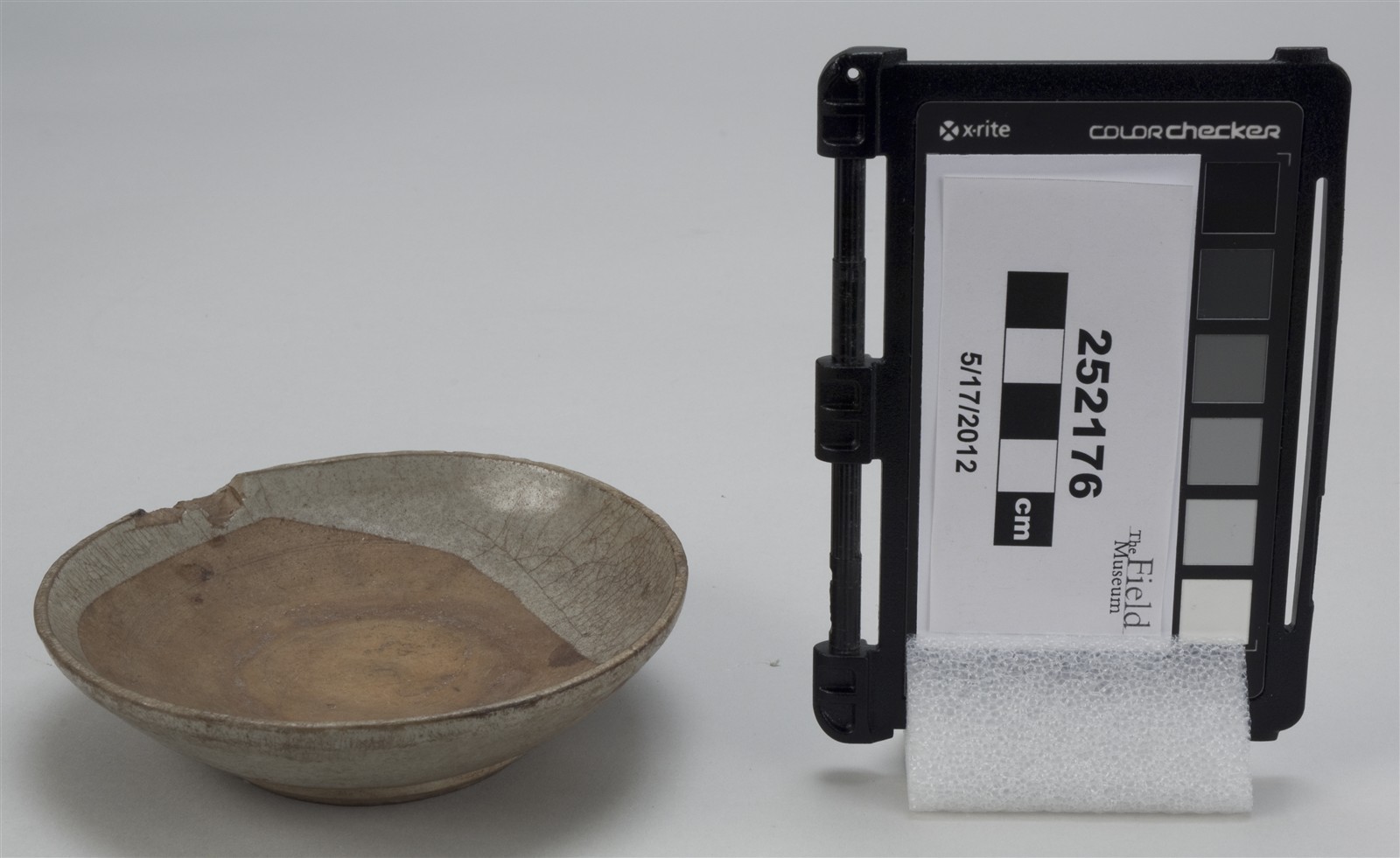 side (c) Field Museum of Natural History - CC BY-NC 4.0