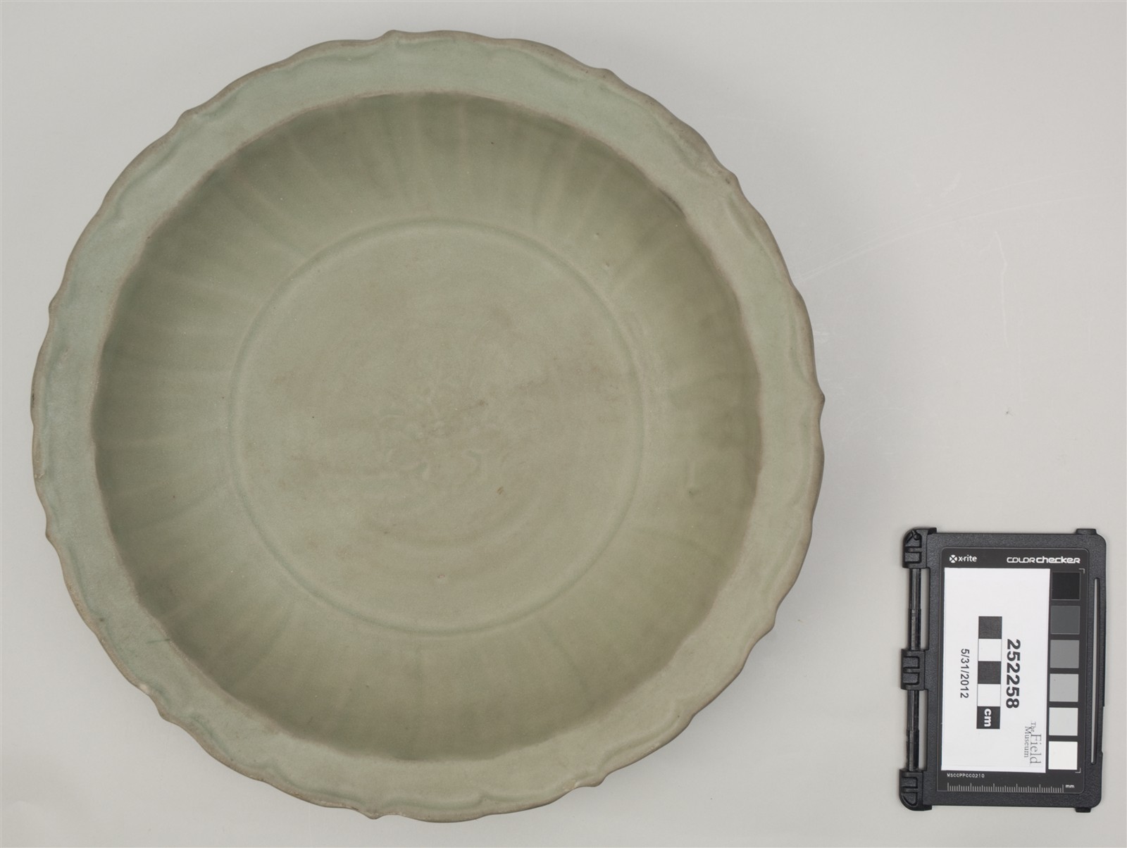 top (c) Field Museum of Natural History - CC BY-NC 4.0