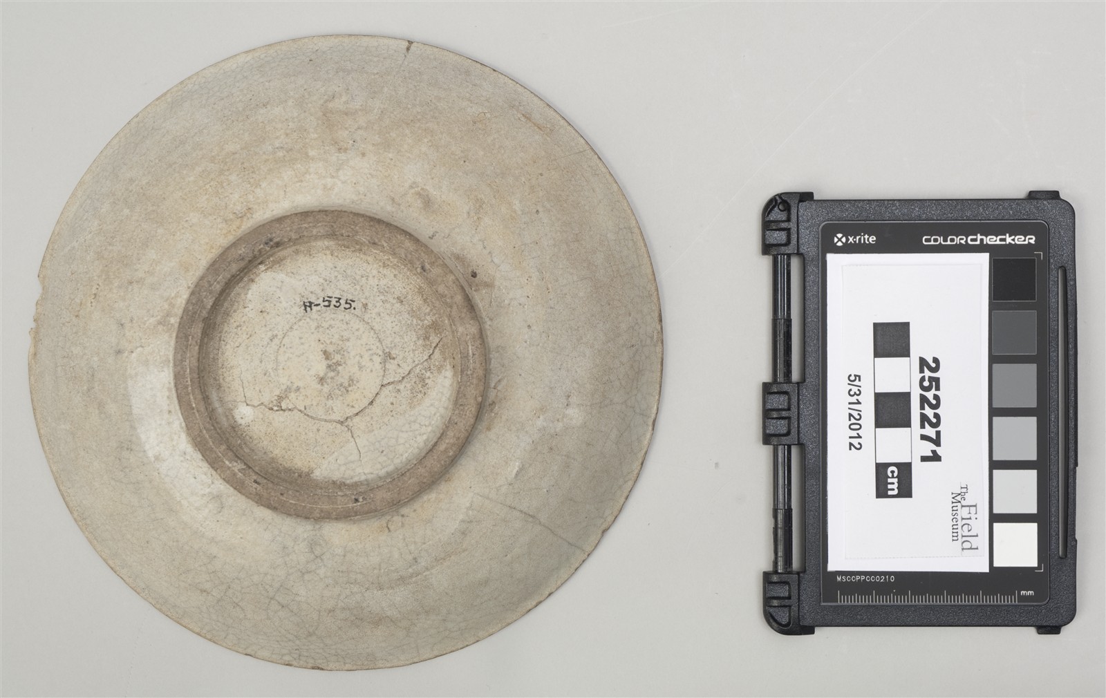 bottom (c) Field Museum of Natural History - CC BY-NC 4.0