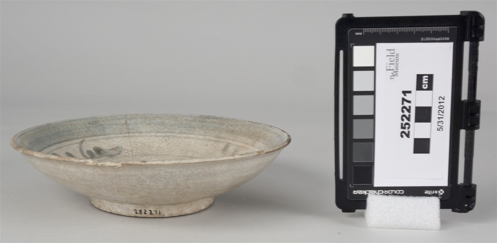 side (c) Field Museum of Natural History - CC BY-NC 4.0