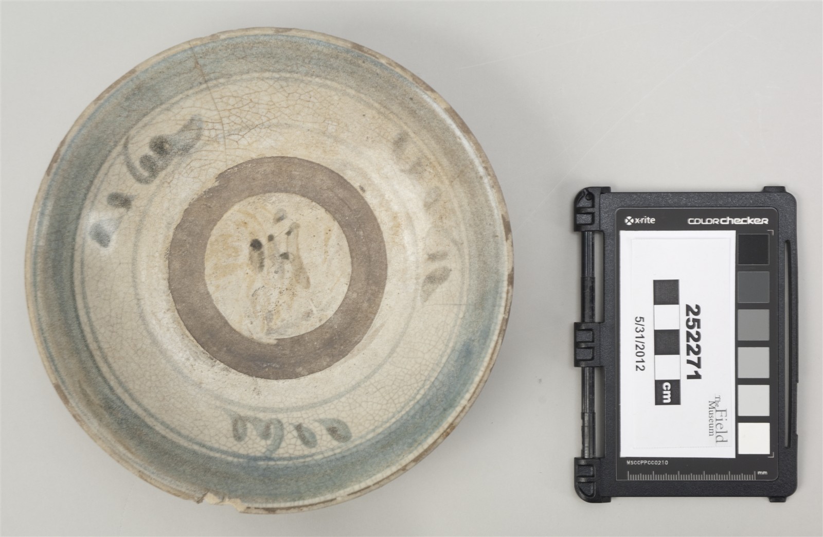 top (c) Field Museum of Natural History - CC BY-NC 4.0