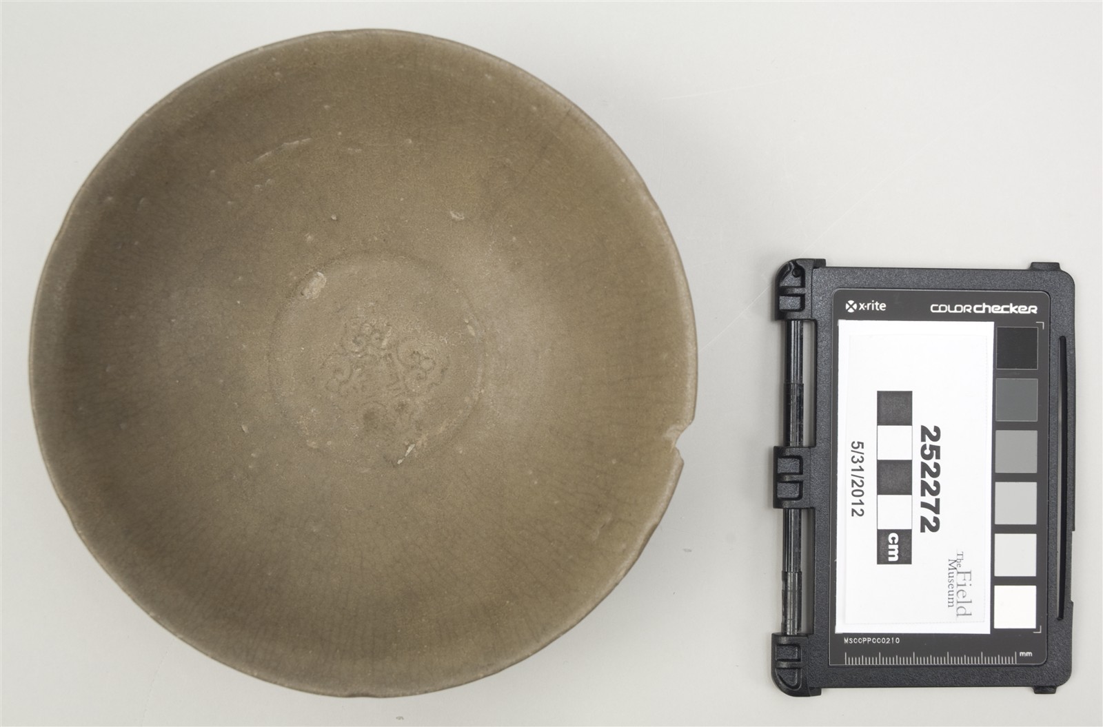 top (c) Field Museum of Natural History - CC BY-NC 4.0