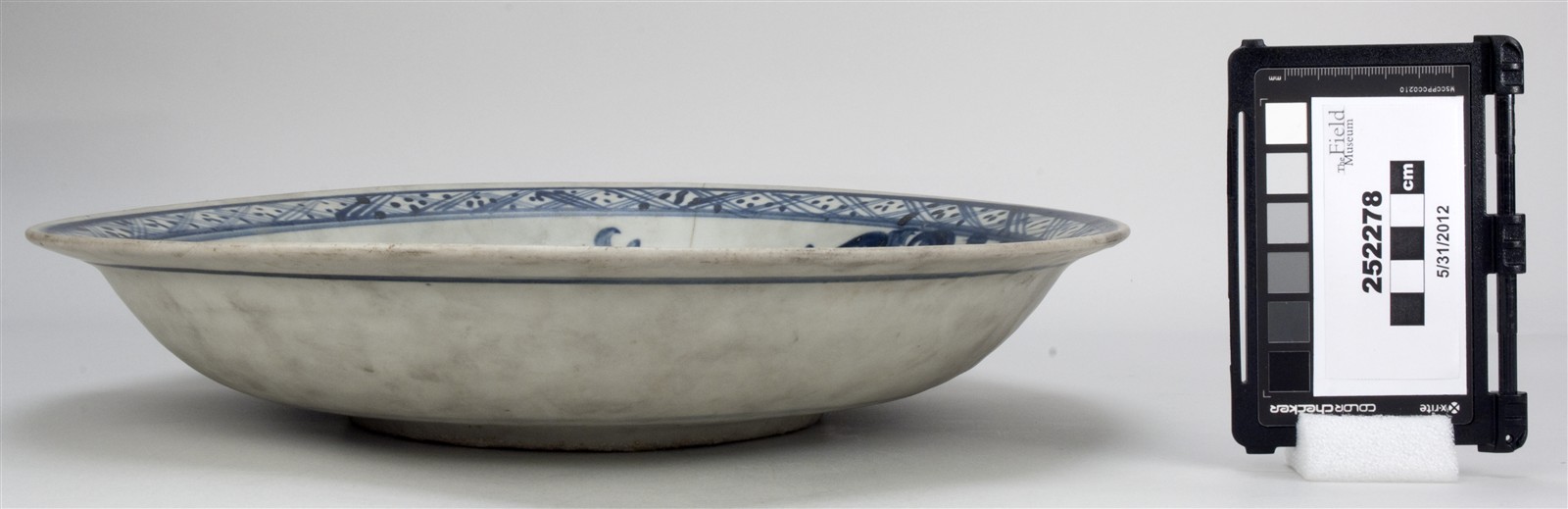 side (c) Field Museum of Natural History - CC BY-NC 4.0