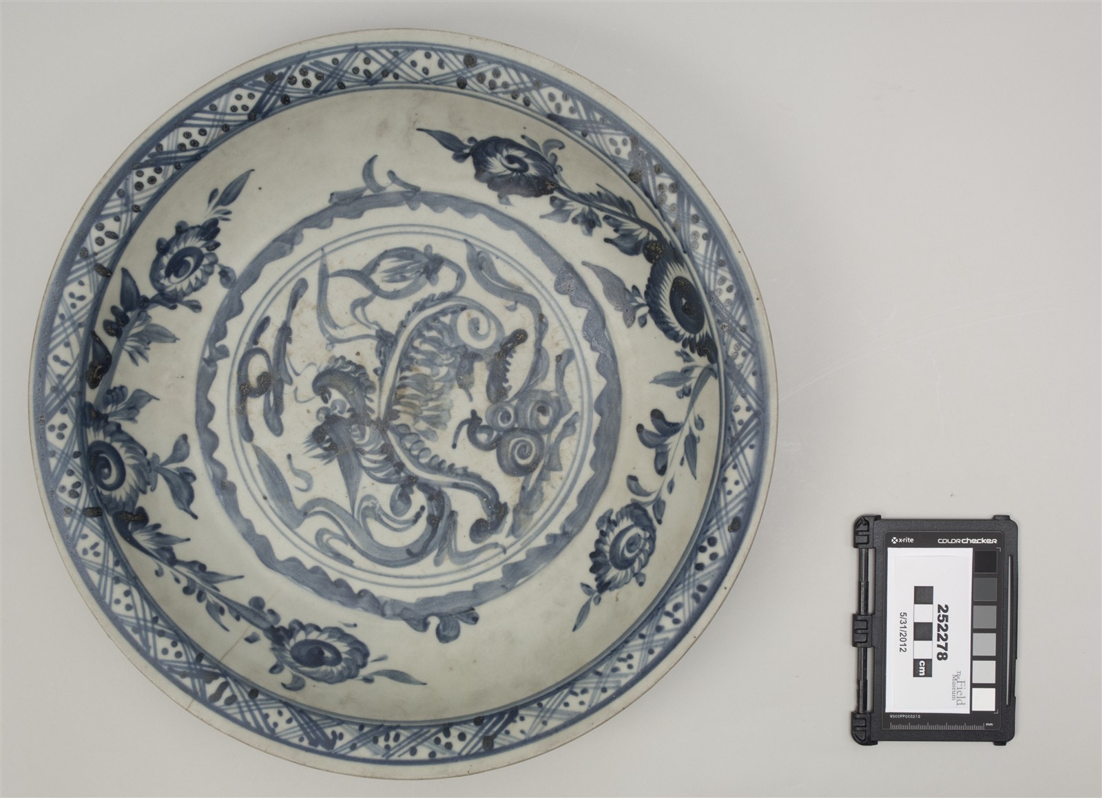 top (c) Field Museum of Natural History - CC BY-NC 4.0