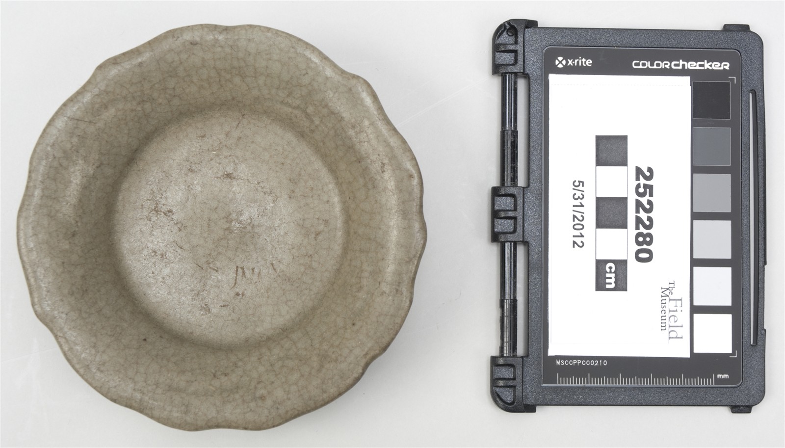 top (c) Field Museum of Natural History - CC BY-NC 4.0