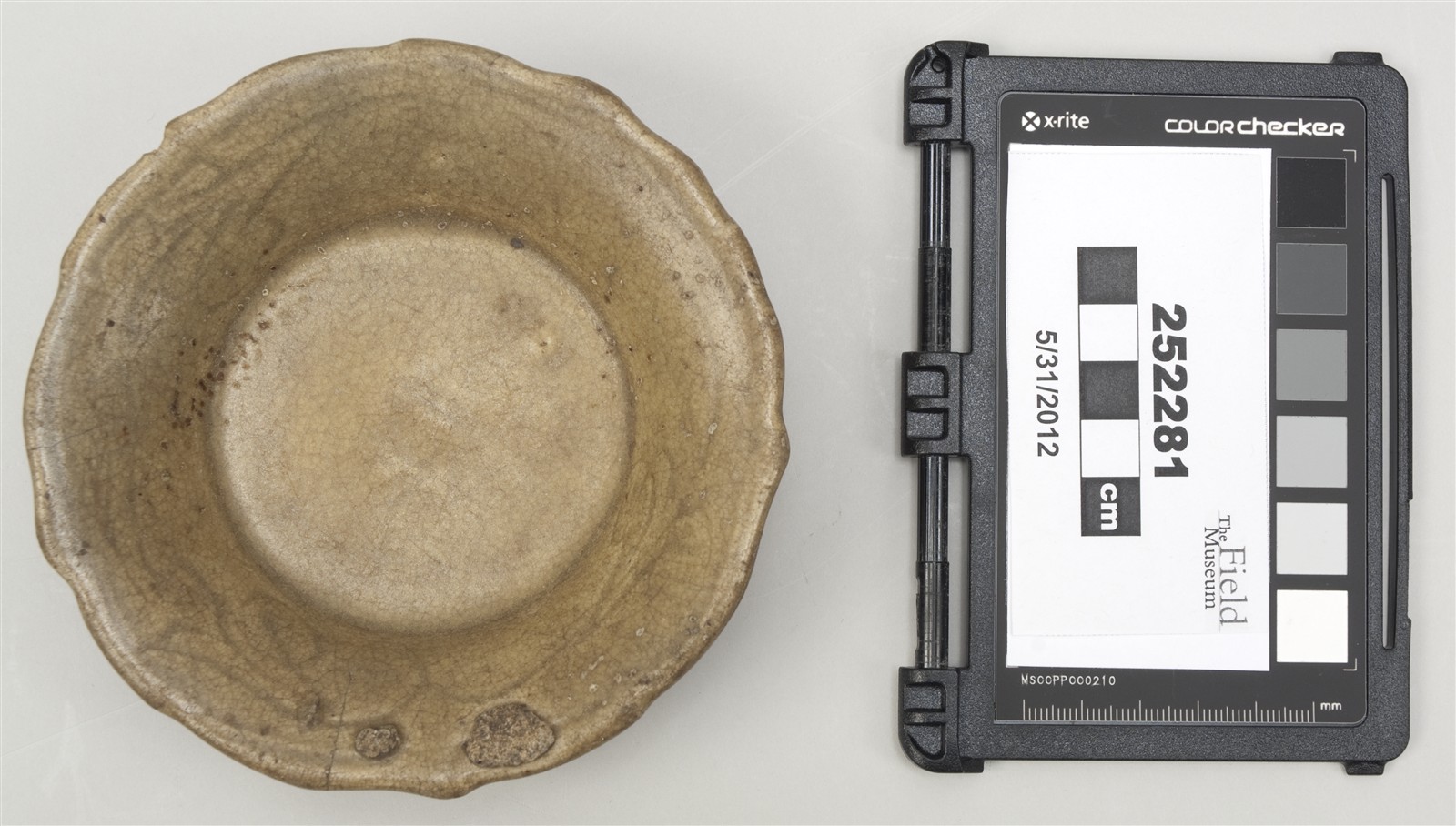 top (c) Field Museum of Natural History - CC BY-NC 4.0