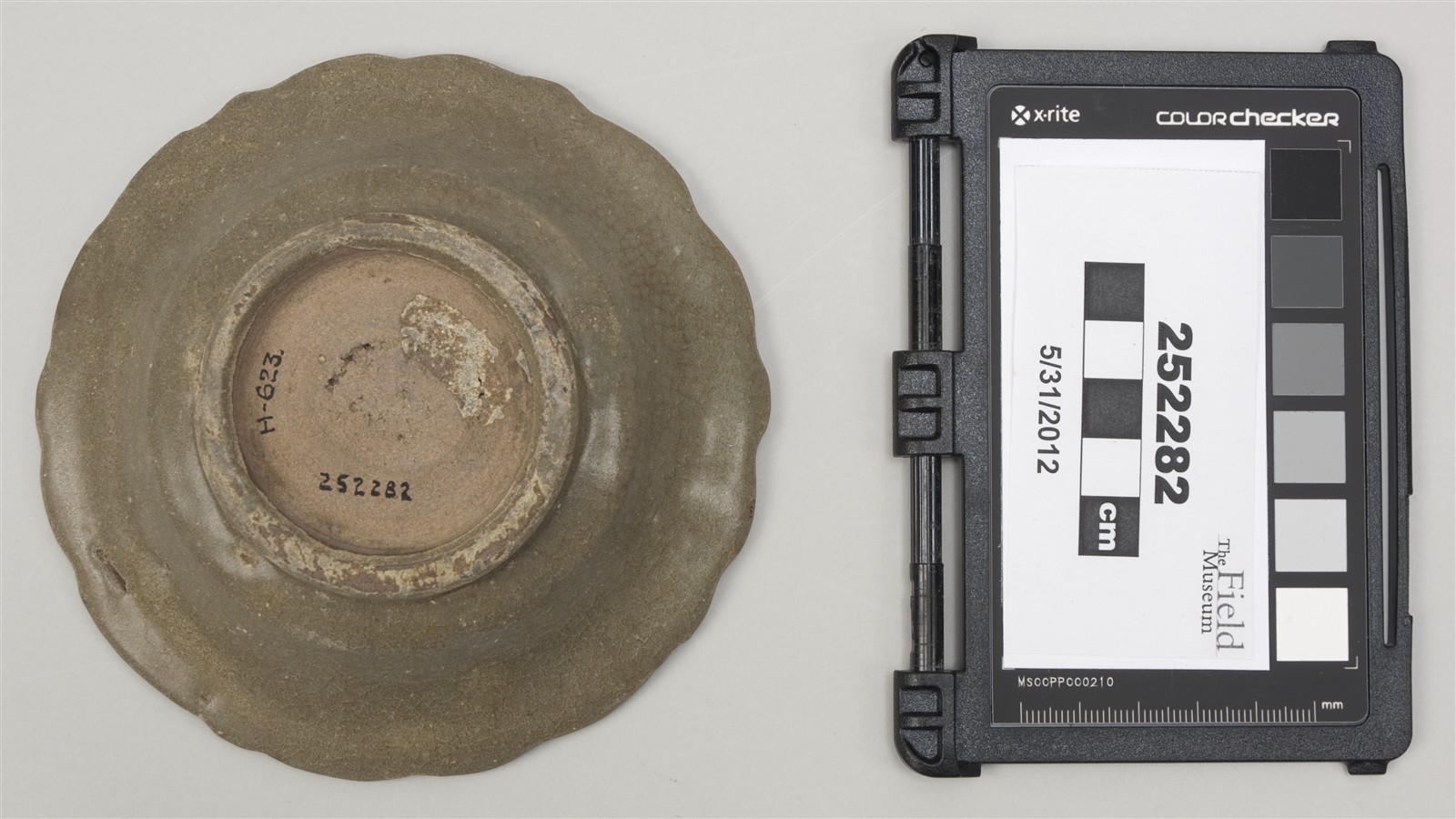 bottom (c) Field Museum of Natural History - CC BY-NC 4.0