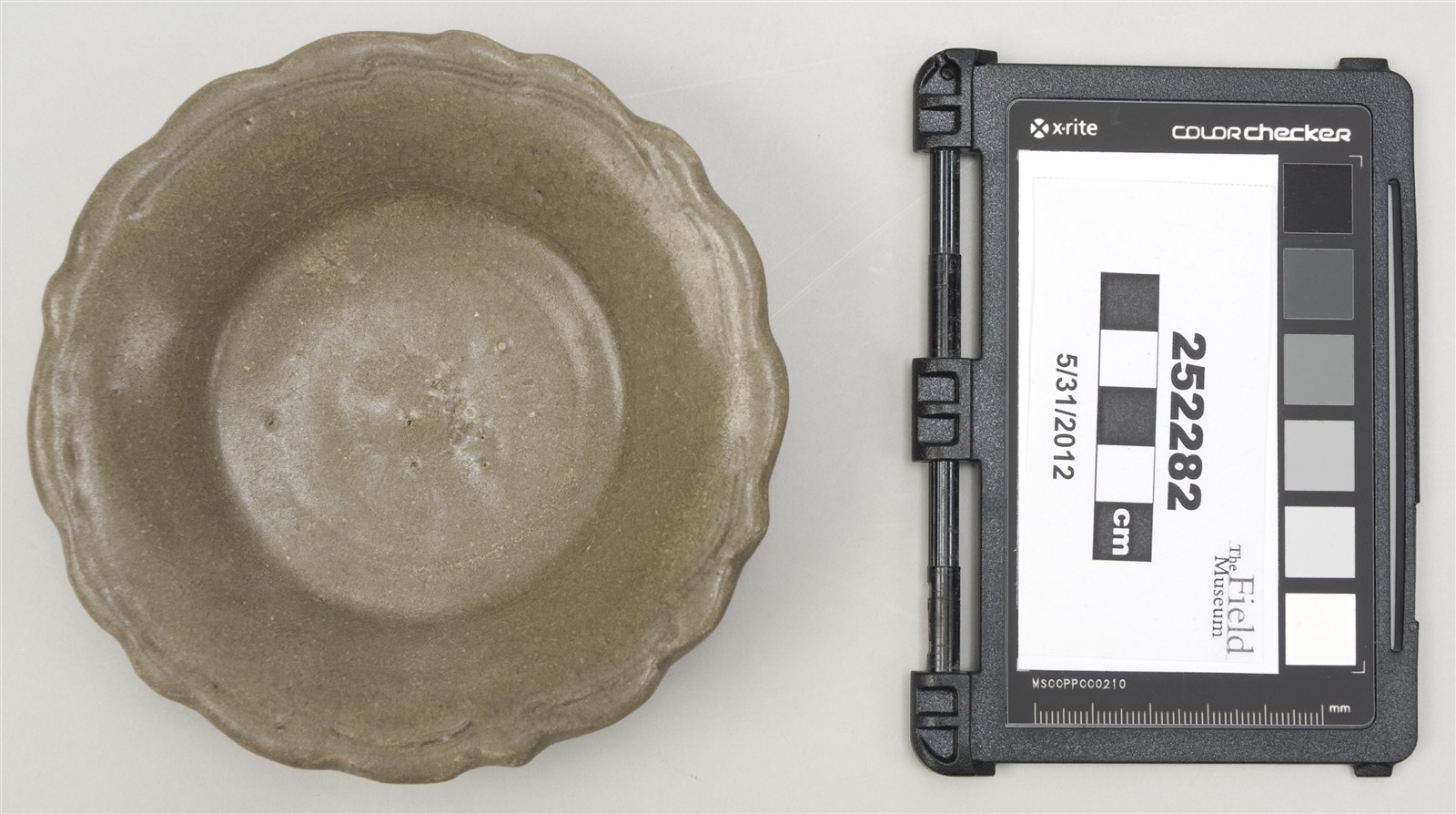 top (c) Field Museum of Natural History - CC BY-NC 4.0