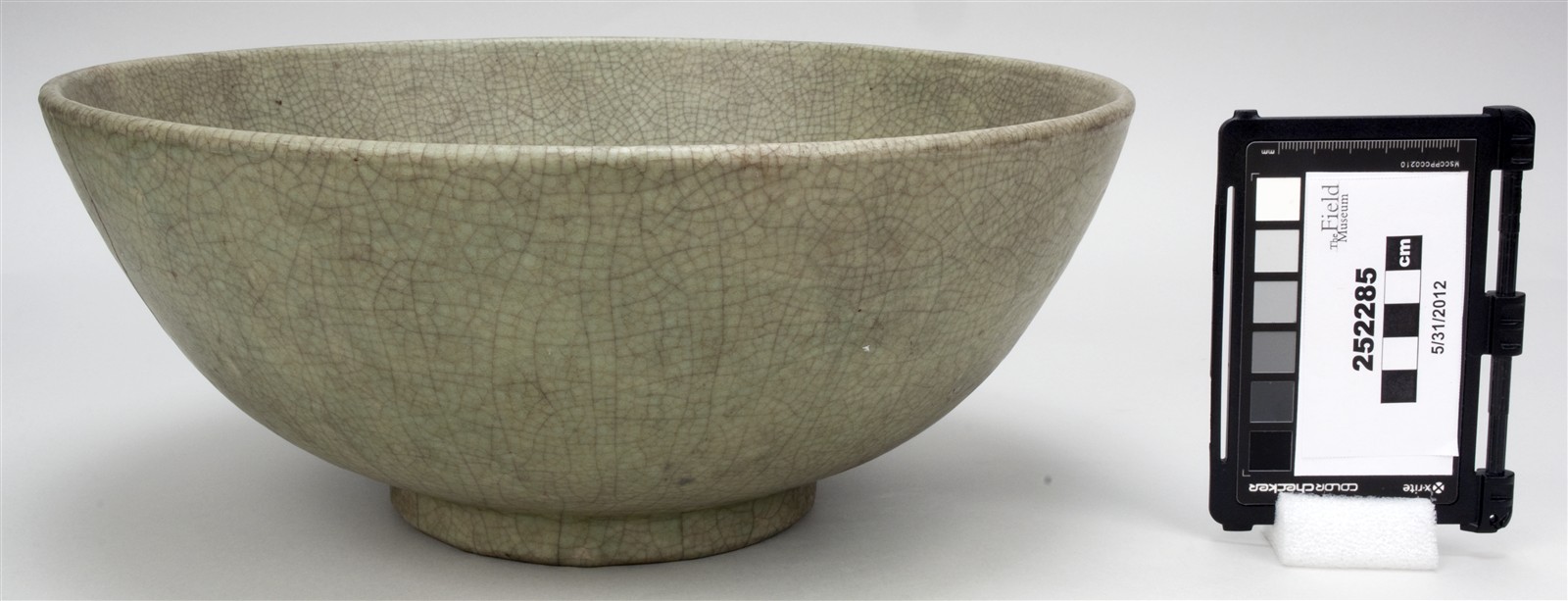 side (c) Field Museum of Natural History - CC BY-NC 4.0