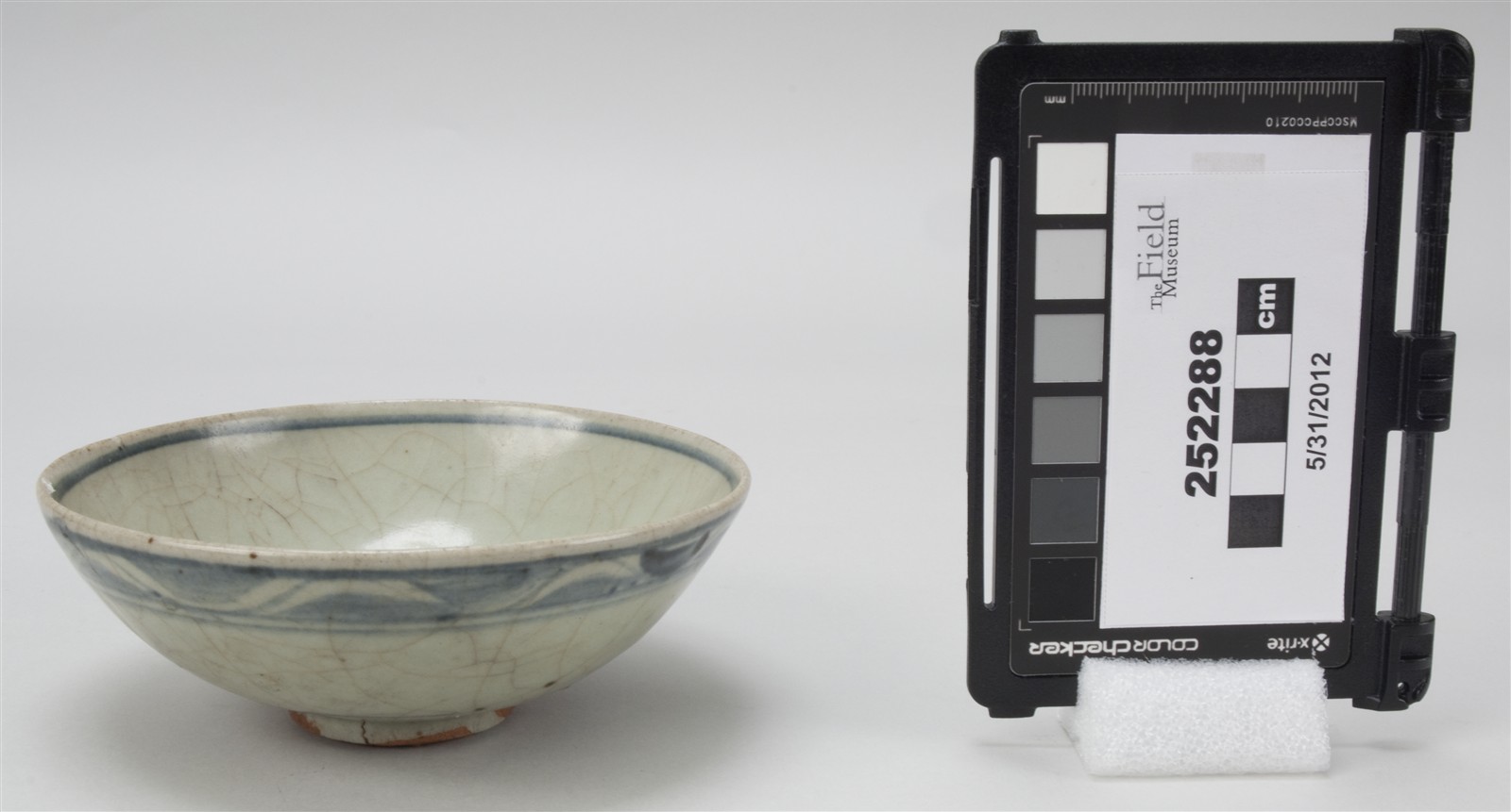 side (c) Field Museum of Natural History - CC BY-NC 4.0