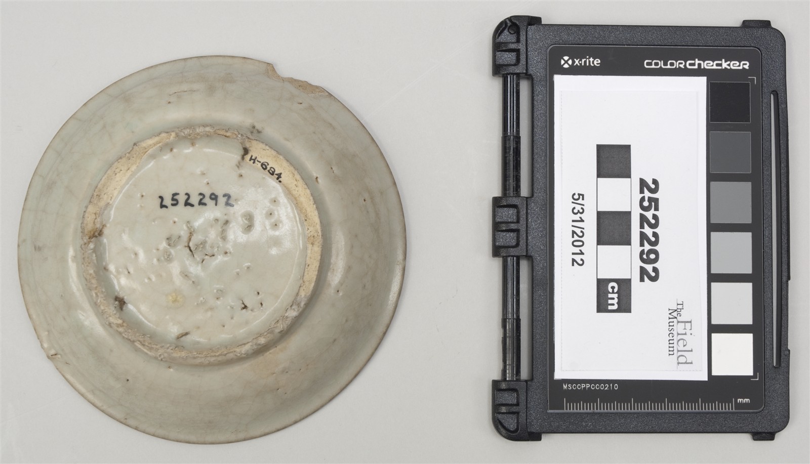 bottom (c) Field Museum of Natural History - CC BY-NC 4.0