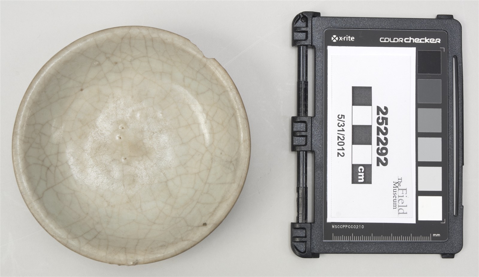 top (c) Field Museum of Natural History - CC BY-NC 4.0