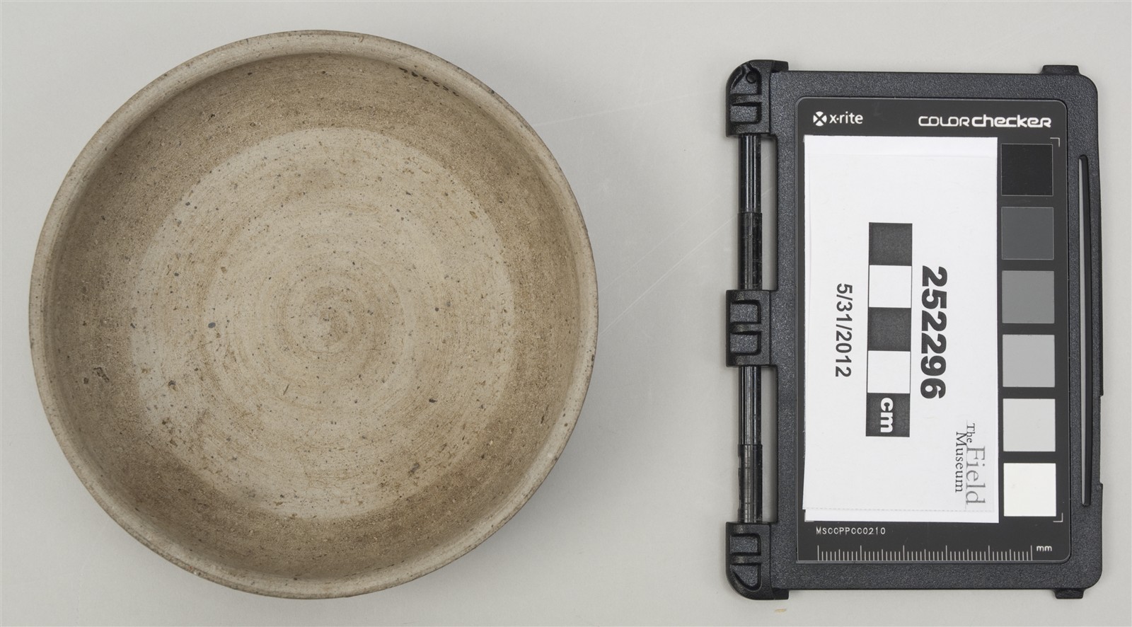 inside (c) Field Museum of Natural History - CC BY-NC 4.0