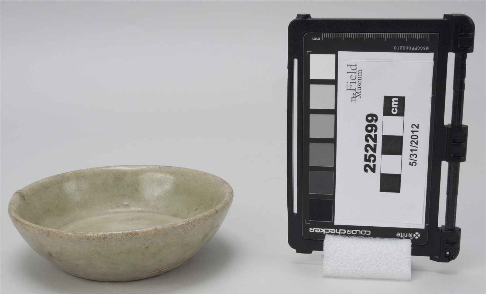 side (c) Field Museum of Natural History - CC BY-NC 4.0