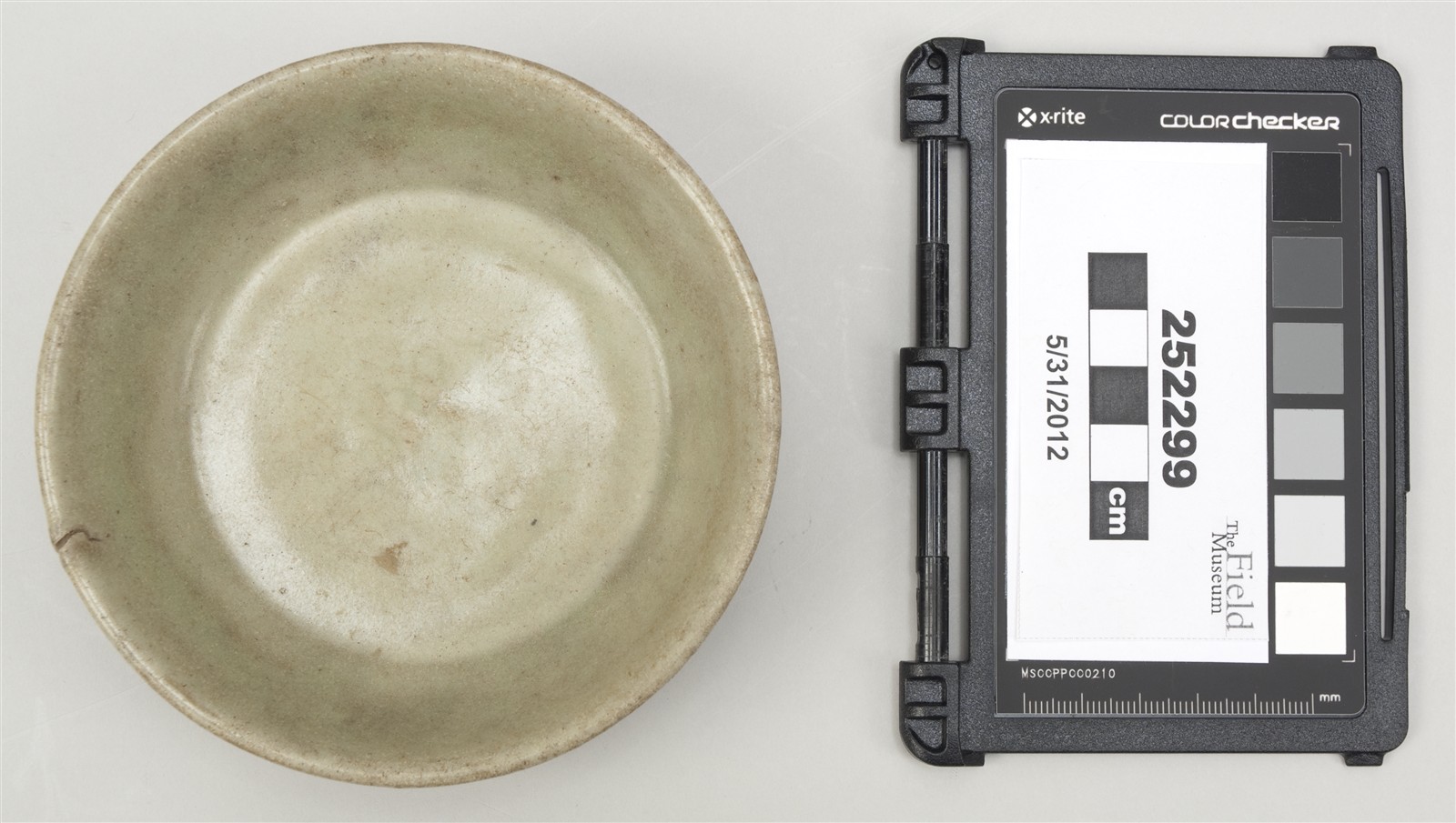 top (c) Field Museum of Natural History - CC BY-NC 4.0