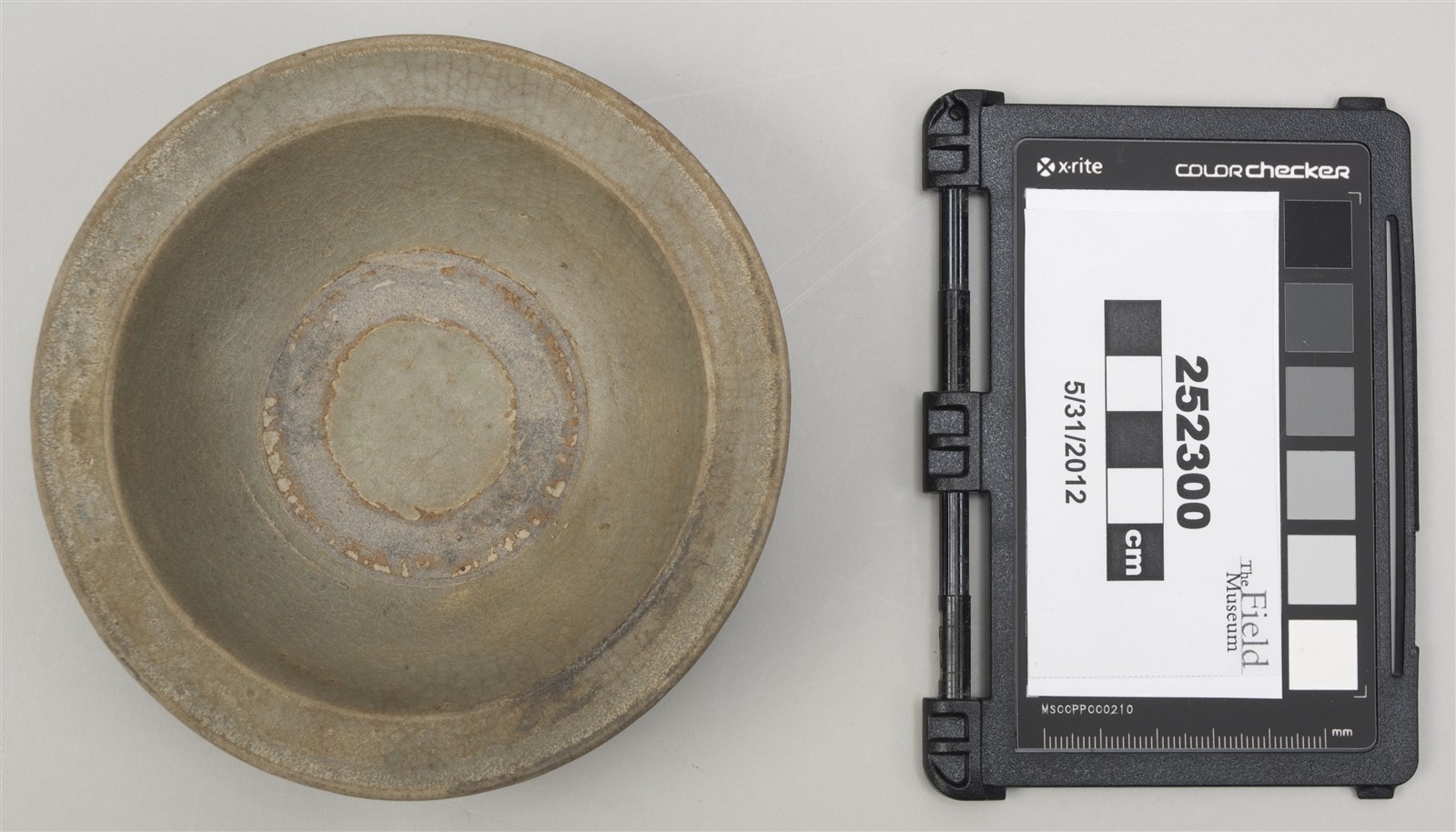 top (c) Field Museum of Natural History - CC BY-NC 4.0