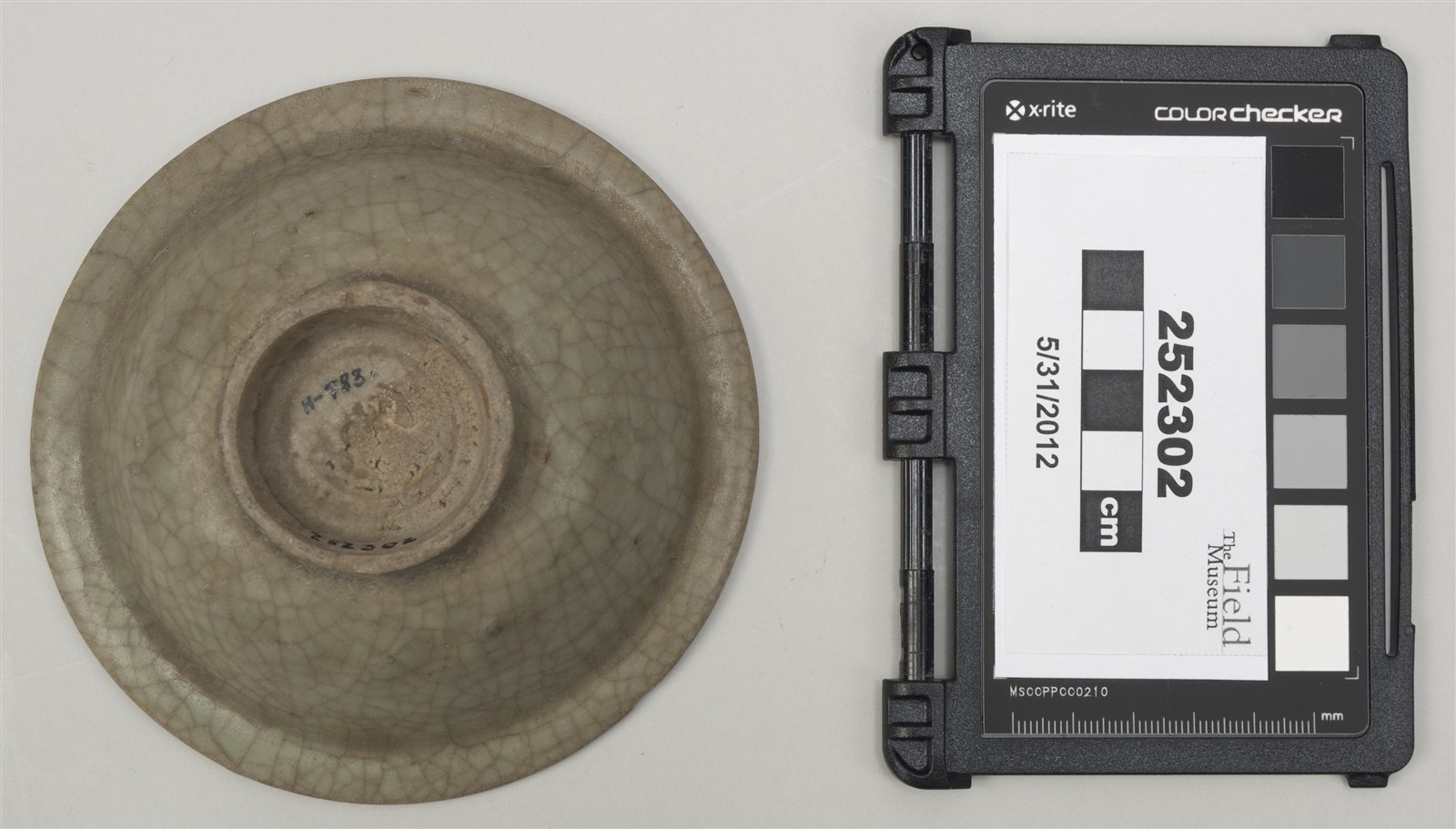 bottom (c) Field Museum of Natural History - CC BY-NC 4.0