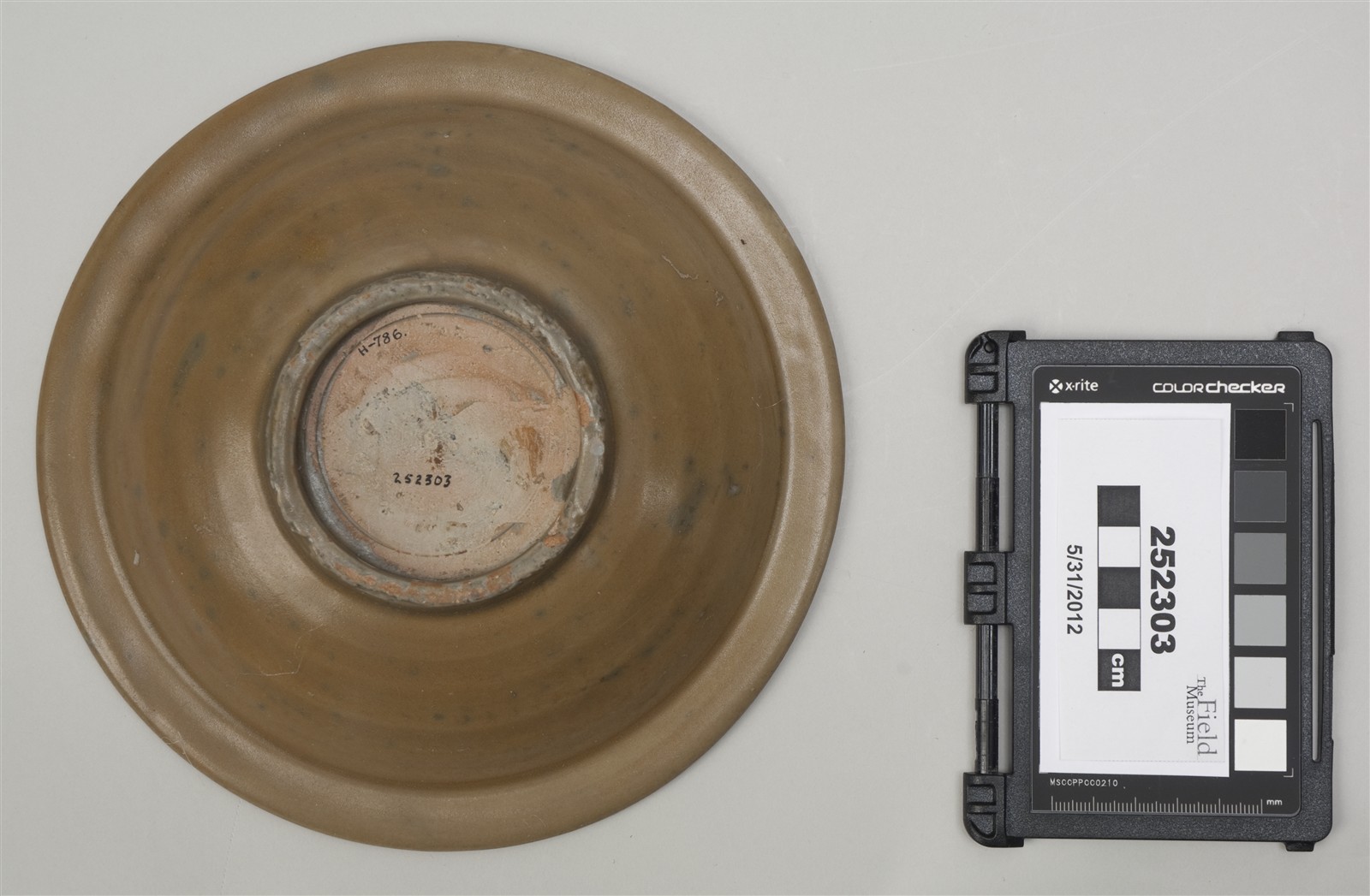 bottom (c) Field Museum of Natural History - CC BY-NC 4.0