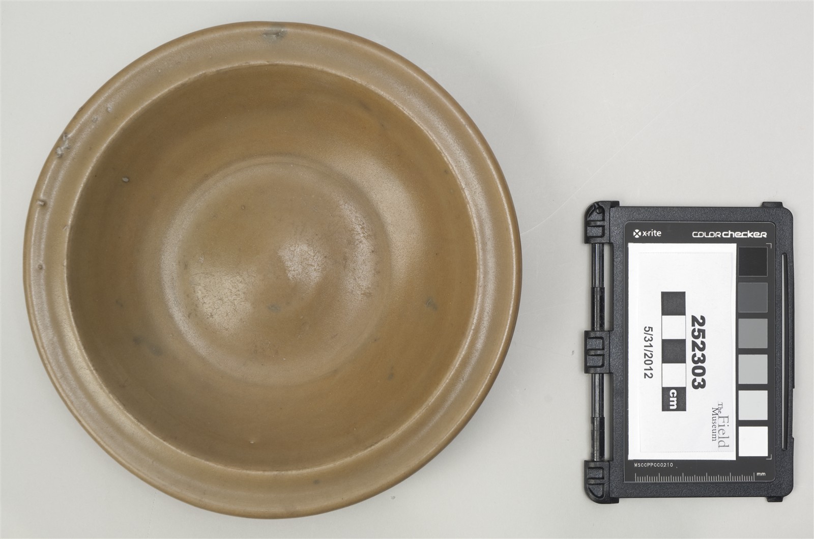 top (c) Field Museum of Natural History - CC BY-NC 4.0