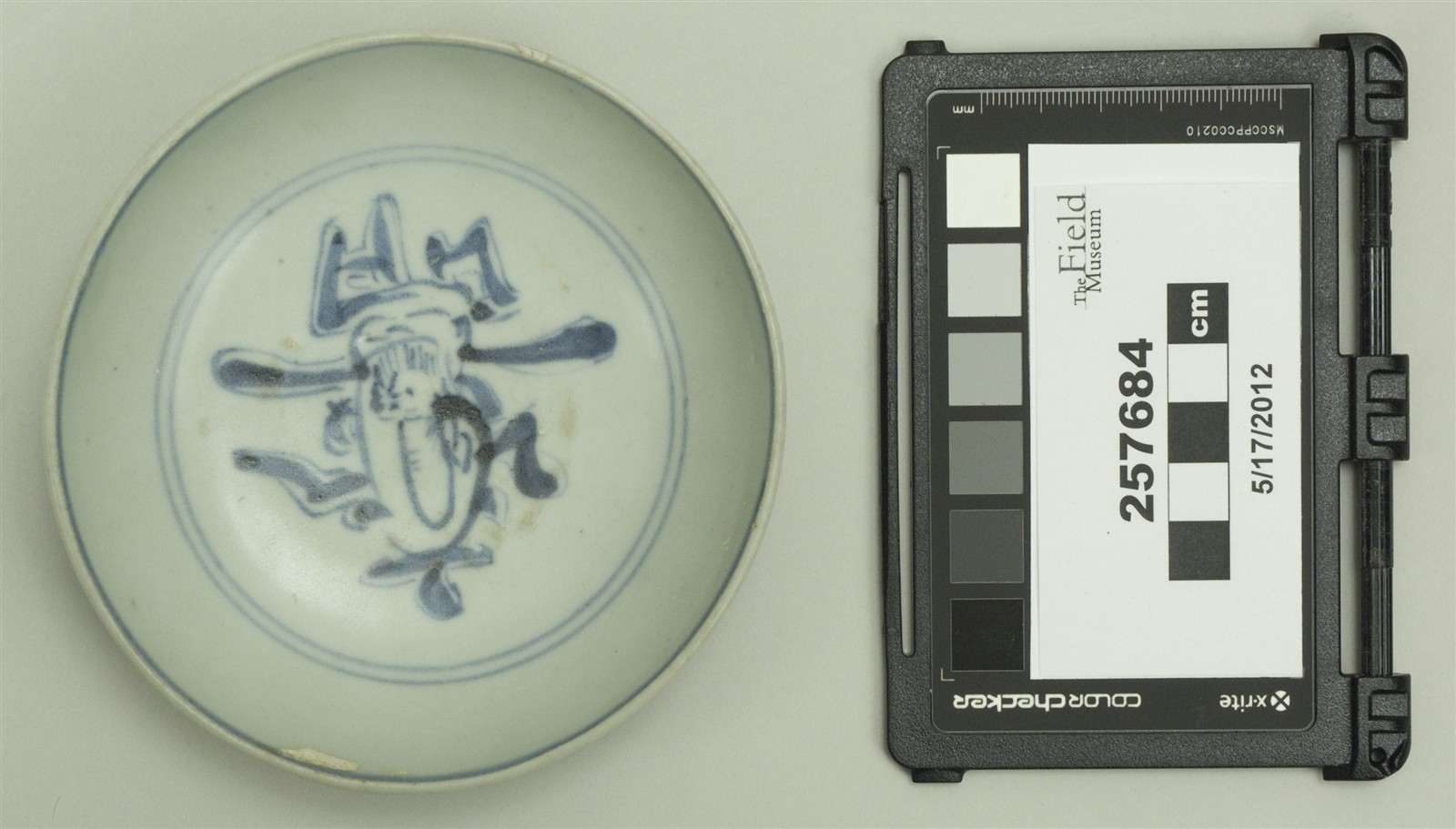 top (c) Field Museum of Natural History - CC BY-NC 4.0