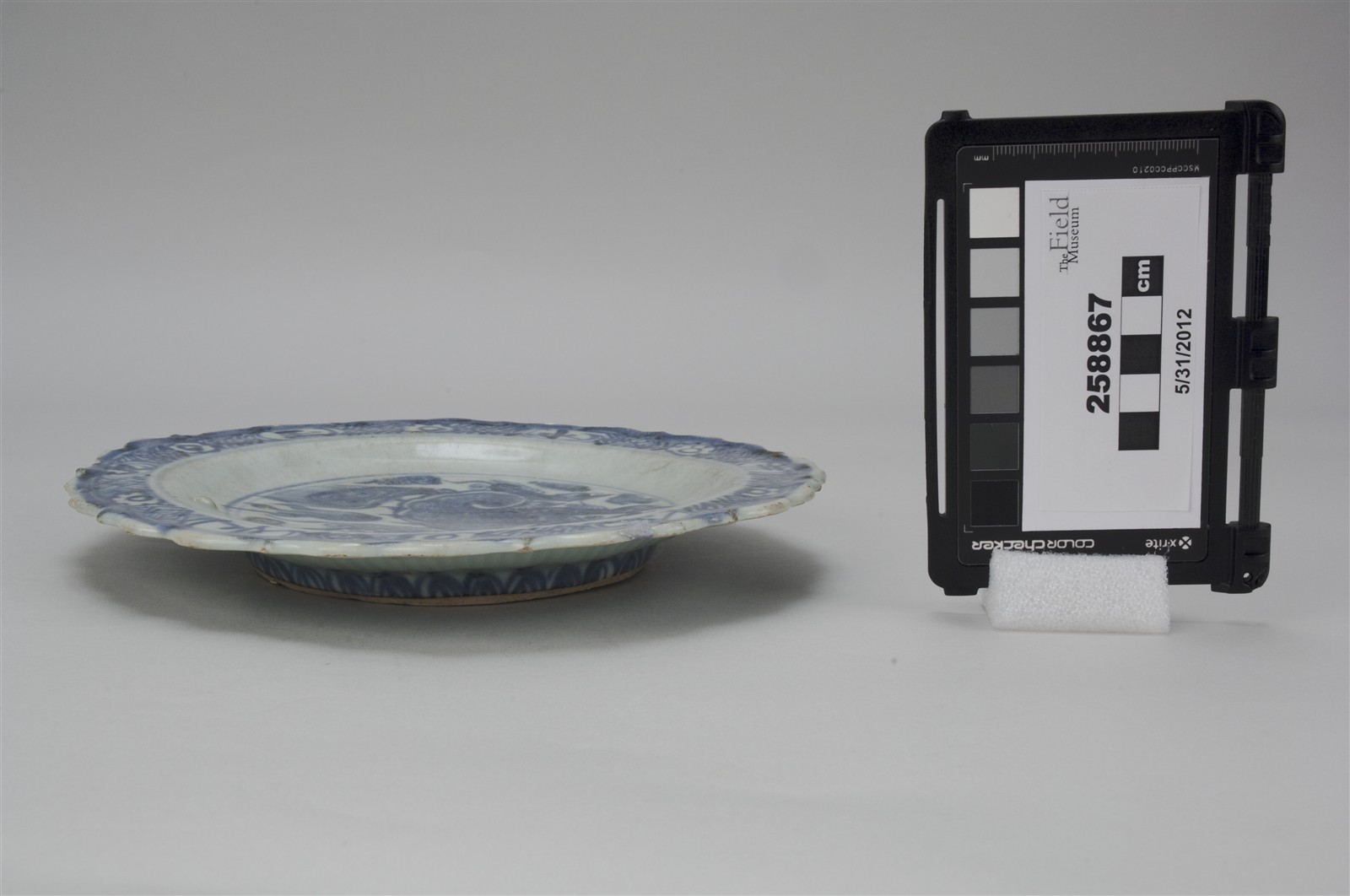 side (c) Field Museum of Natural History - CC BY-NC 4.0