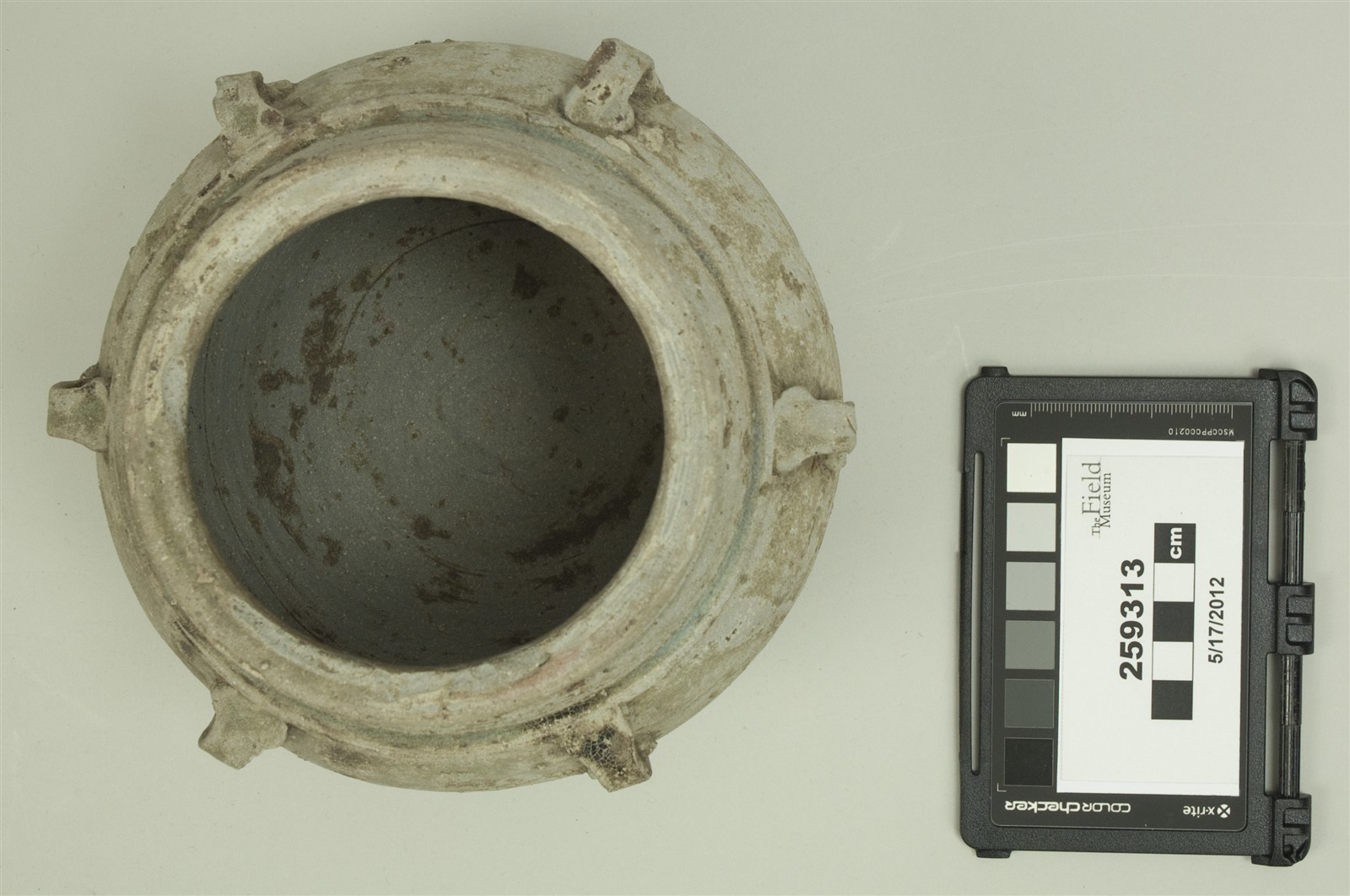 top (c) Field Museum of Natural History - CC BY-NC 4.0