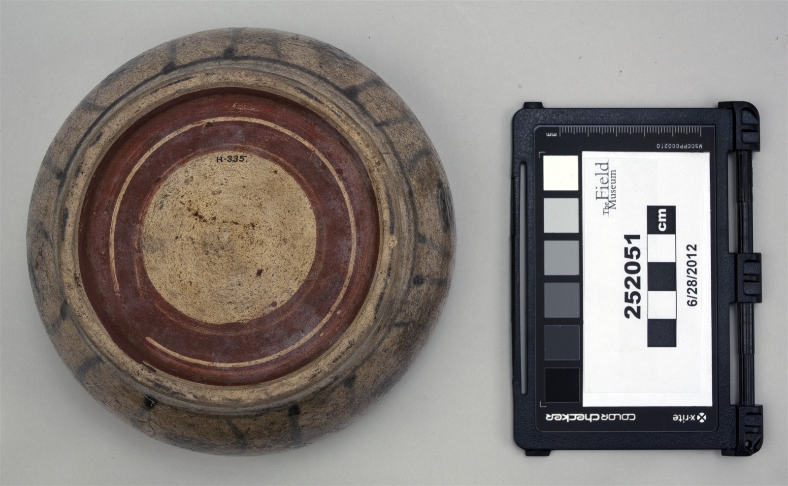 sub 1, bottom (c) Field Museum of Natural History - CC BY-NC 4.0