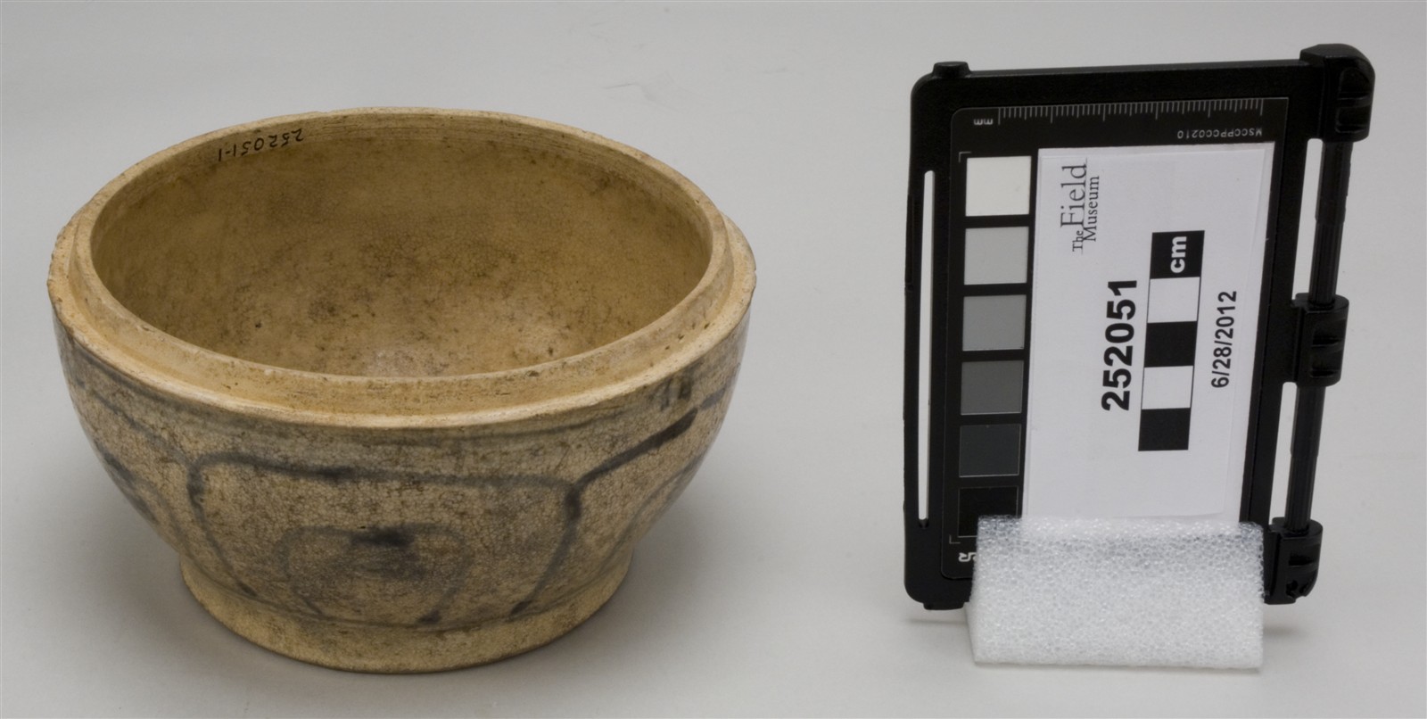 sub 1, side (c) Field Museum of Natural History - CC BY-NC 4.0