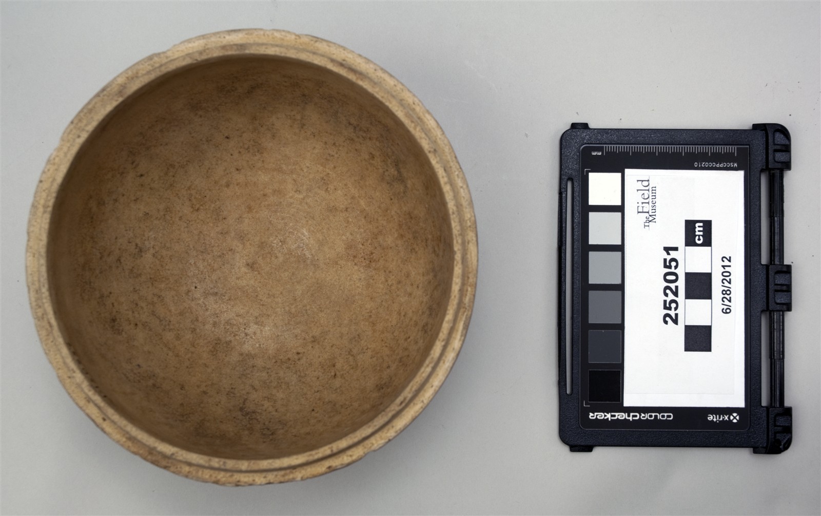 sub 1, top (c) Field Museum of Natural History - CC BY-NC 4.0