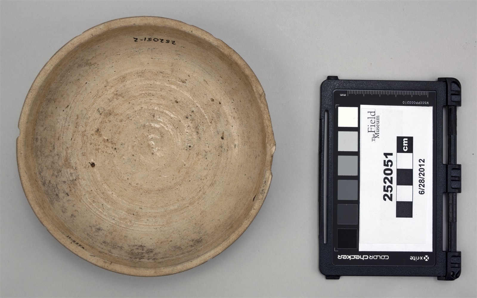 sub 2, bottom (c) Field Museum of Natural History - CC BY-NC 4.0