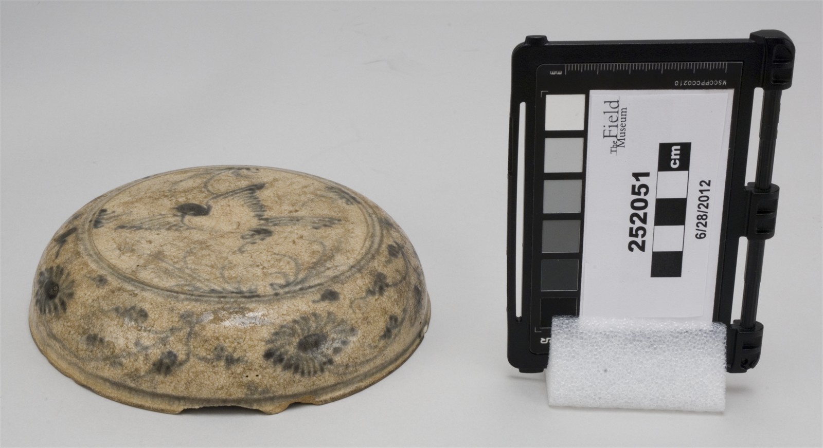 sub 2, side (c) Field Museum of Natural History - CC BY-NC 4.0