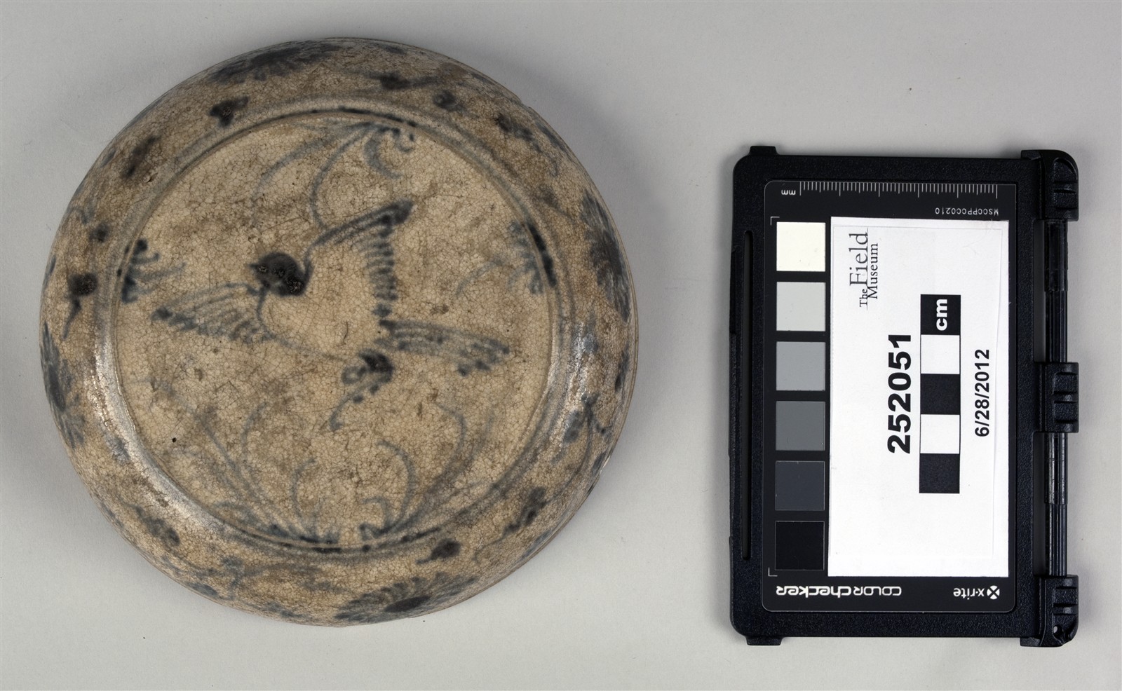 sub 2, top (c) Field Museum of Natural History - CC BY-NC 4.0