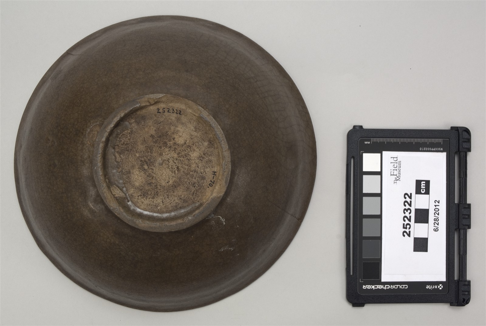 bottom (c) Field Museum of Natural History - CC BY-NC 4.0