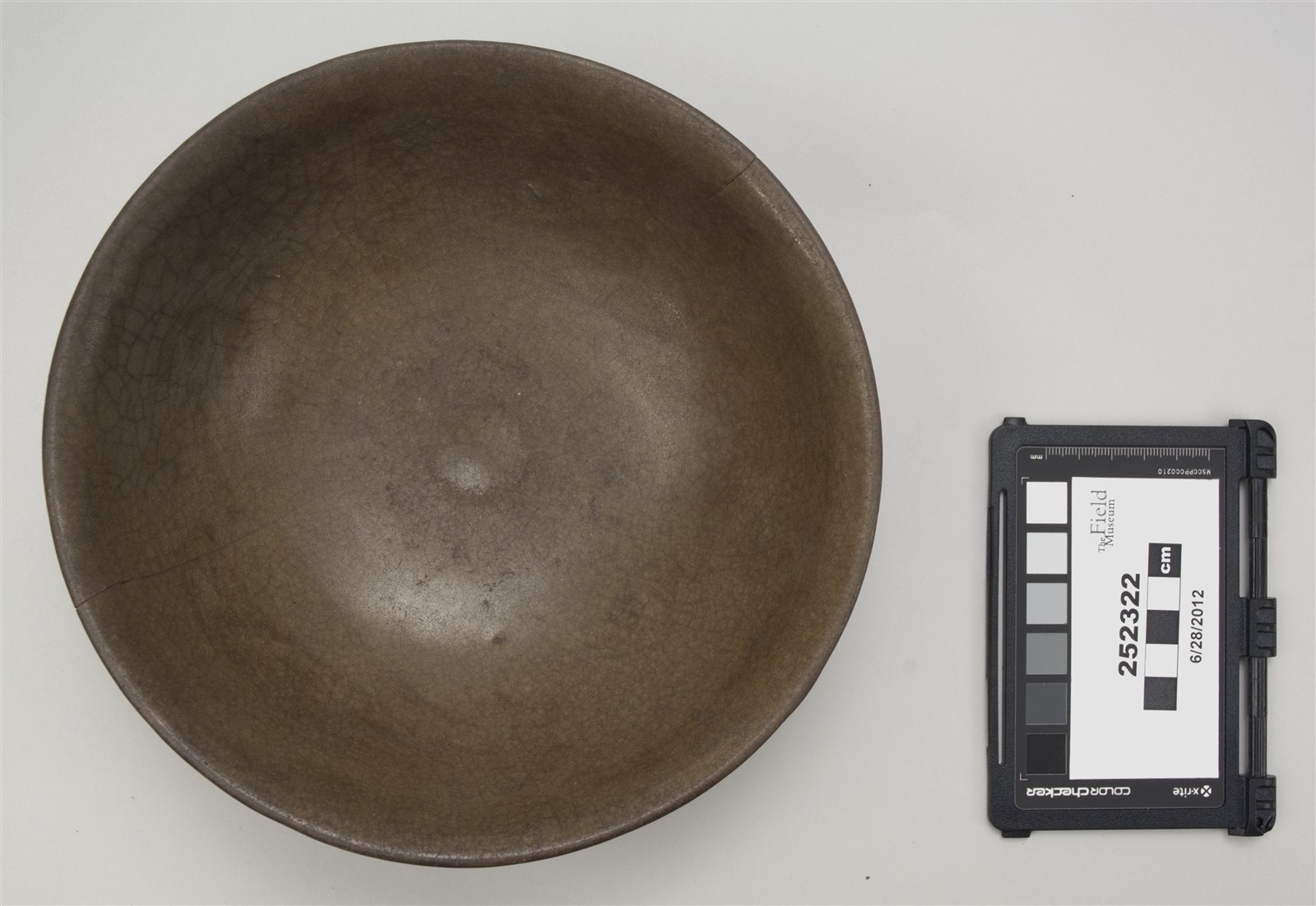 top (c) Field Museum of Natural History - CC BY-NC 4.0