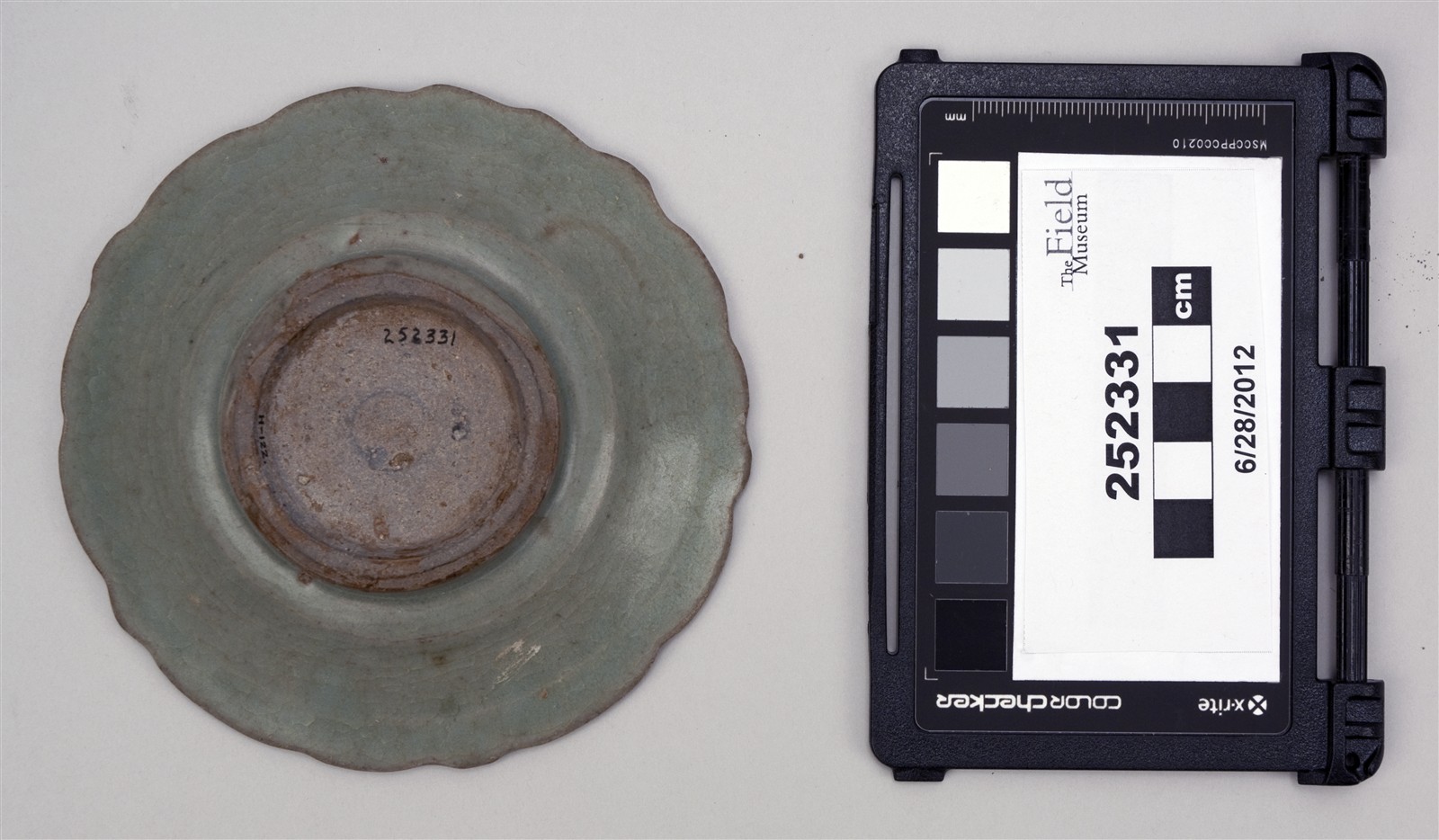 bottom (c) Field Museum of Natural History - CC BY-NC 4.0