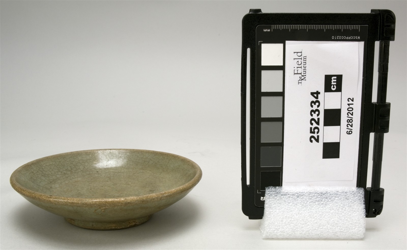 side (c) Field Museum of Natural History - CC BY-NC 4.0