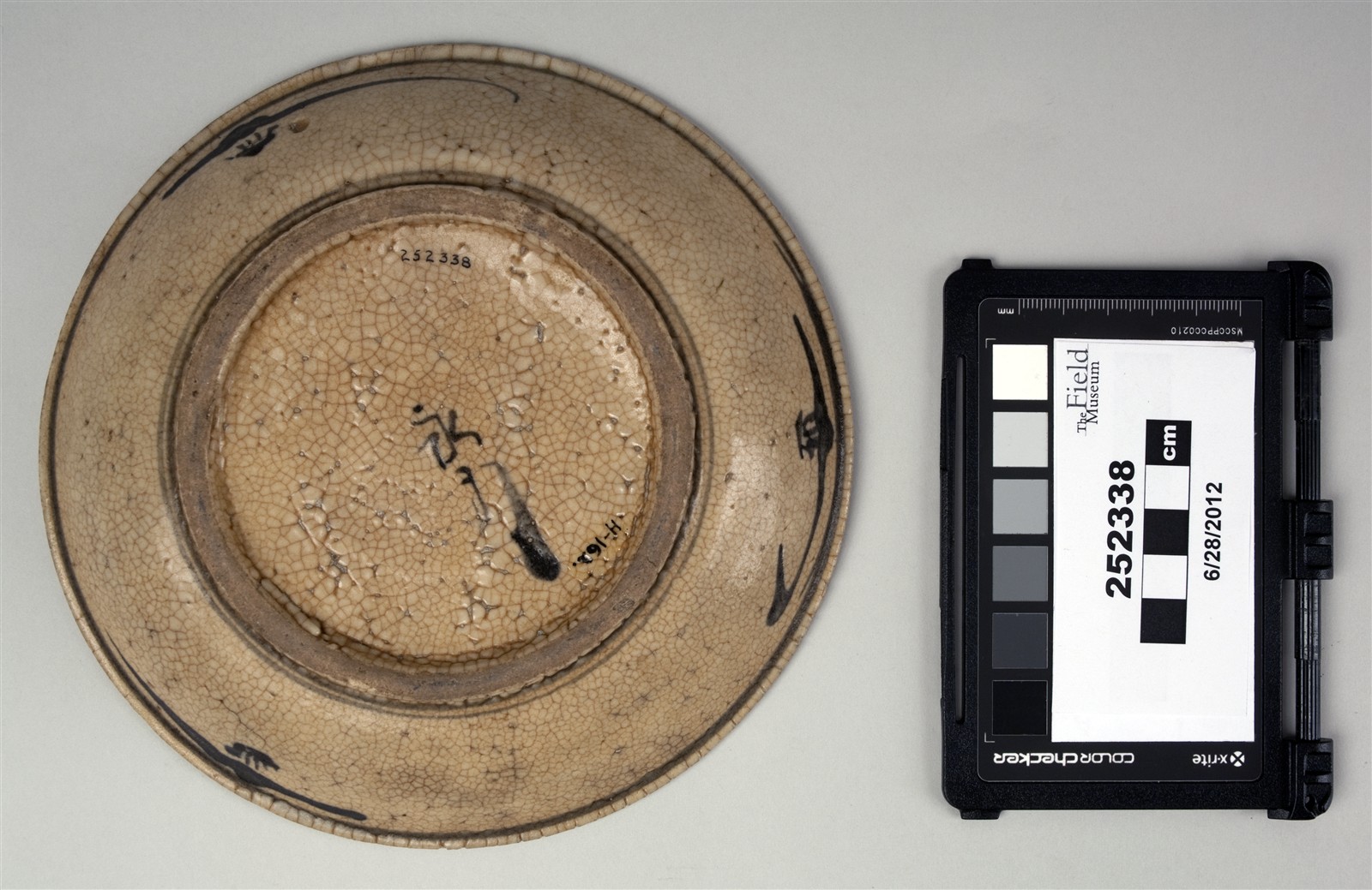 bottom (c) Field Museum of Natural History - CC BY-NC 4.0