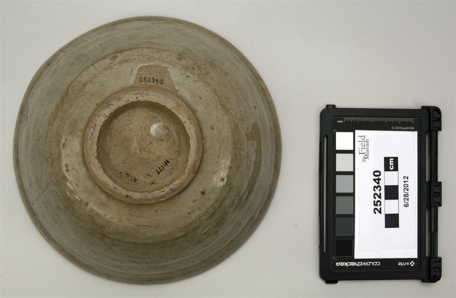 bottom (c) Field Museum of Natural History - CC BY-NC 4.0