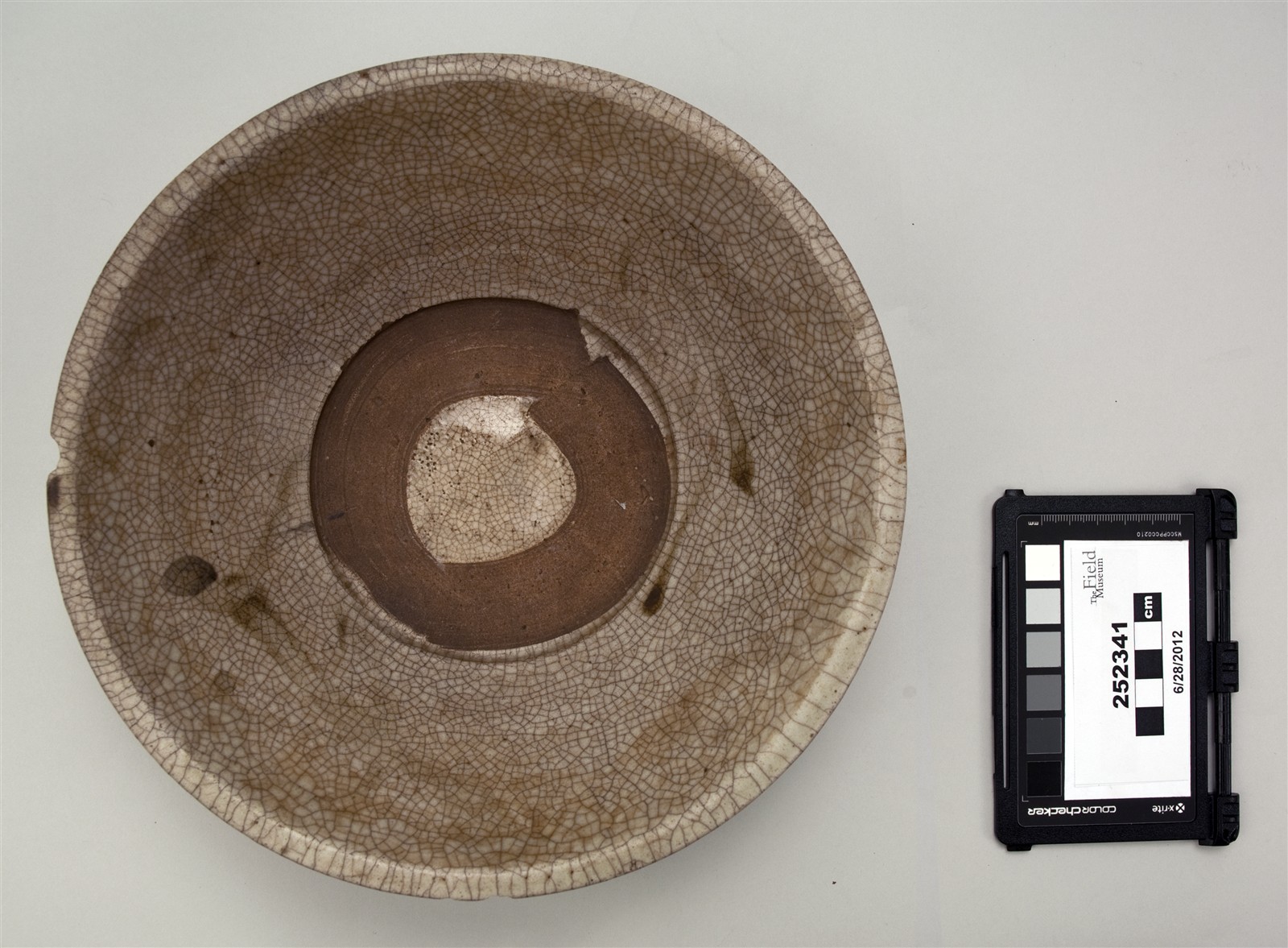 top (c) Field Museum of Natural History - CC BY-NC 4.0