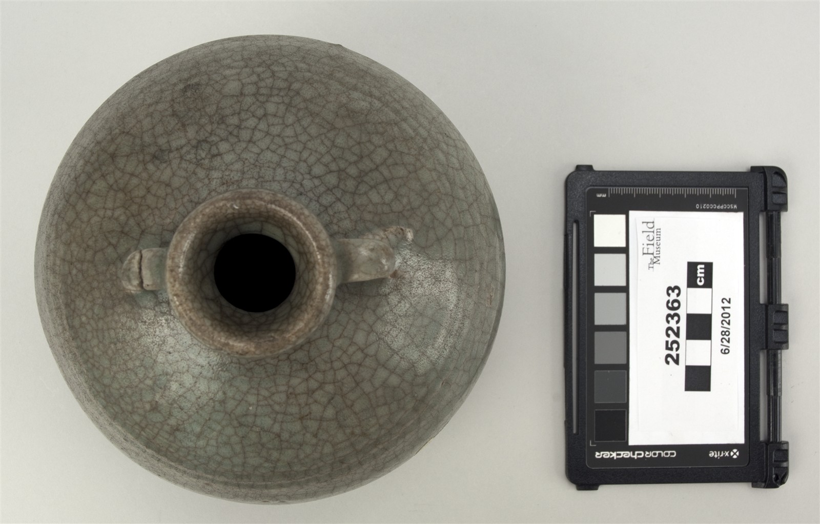 top (c) Field Museum of Natural History - CC BY-NC 4.0