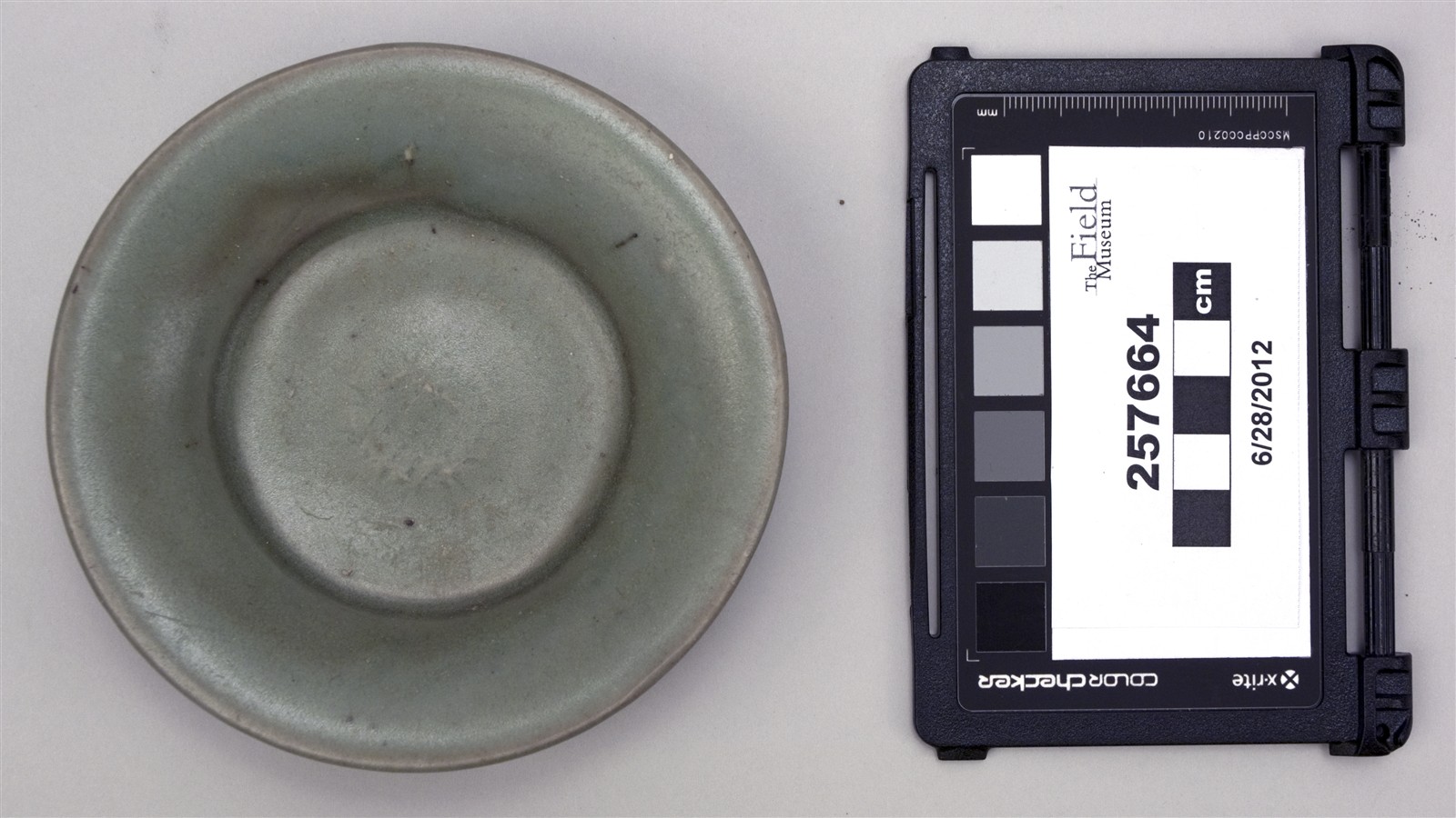 top (c) Field Museum of Natural History - CC BY-NC 4.0