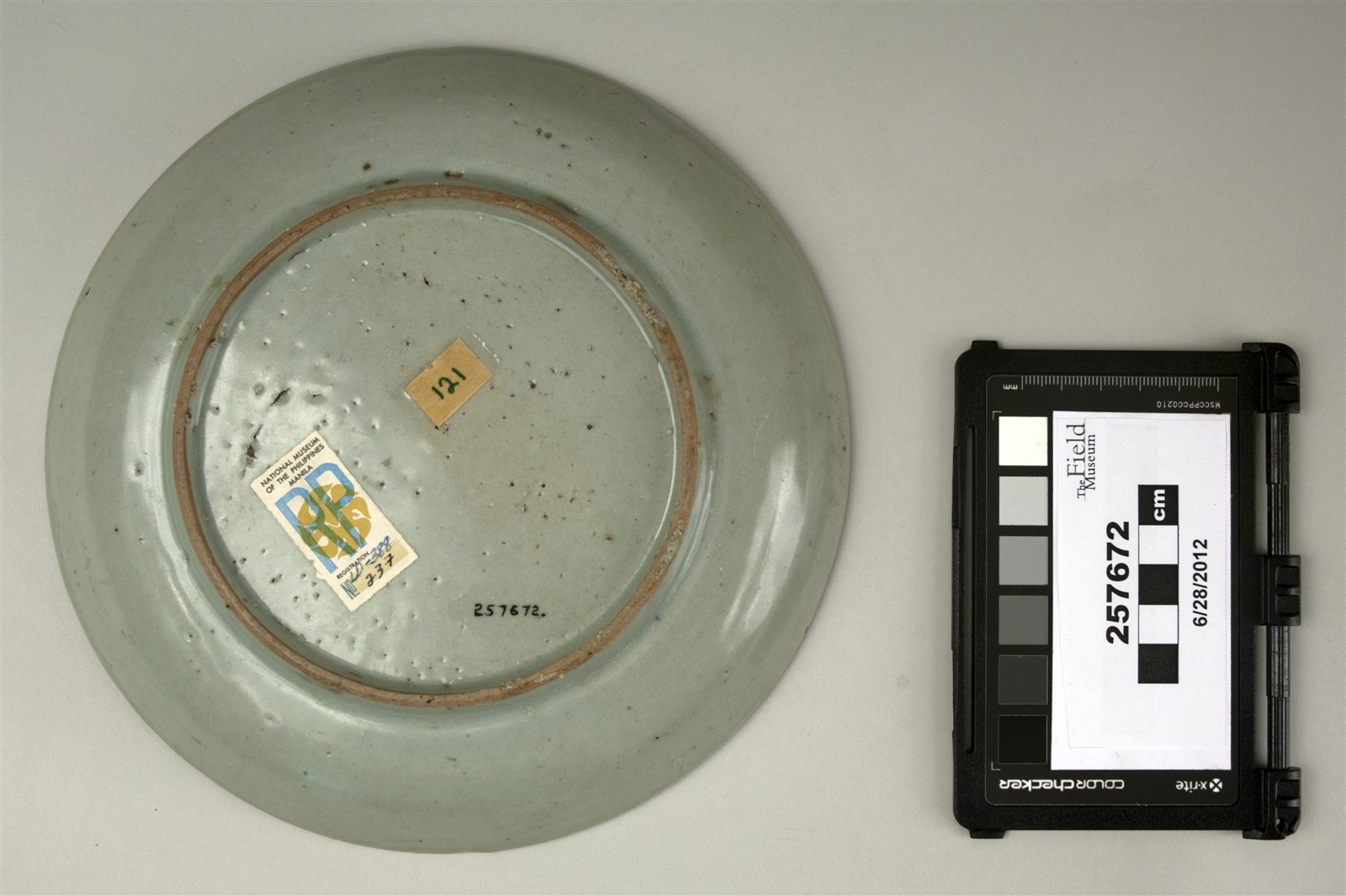 bottom (c) Field Museum of Natural History - CC BY-NC 4.0