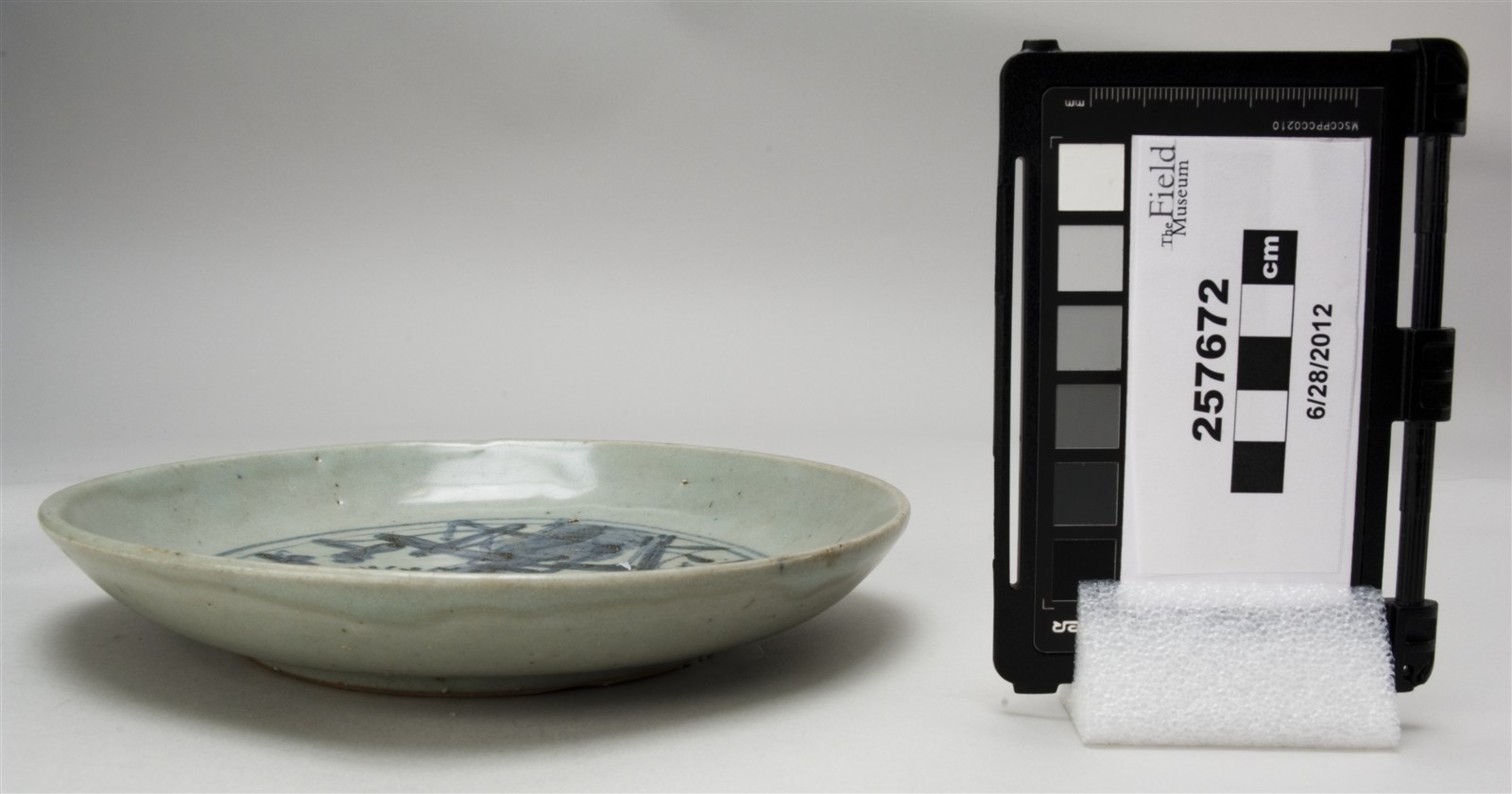 side (c) Field Museum of Natural History - CC BY-NC 4.0