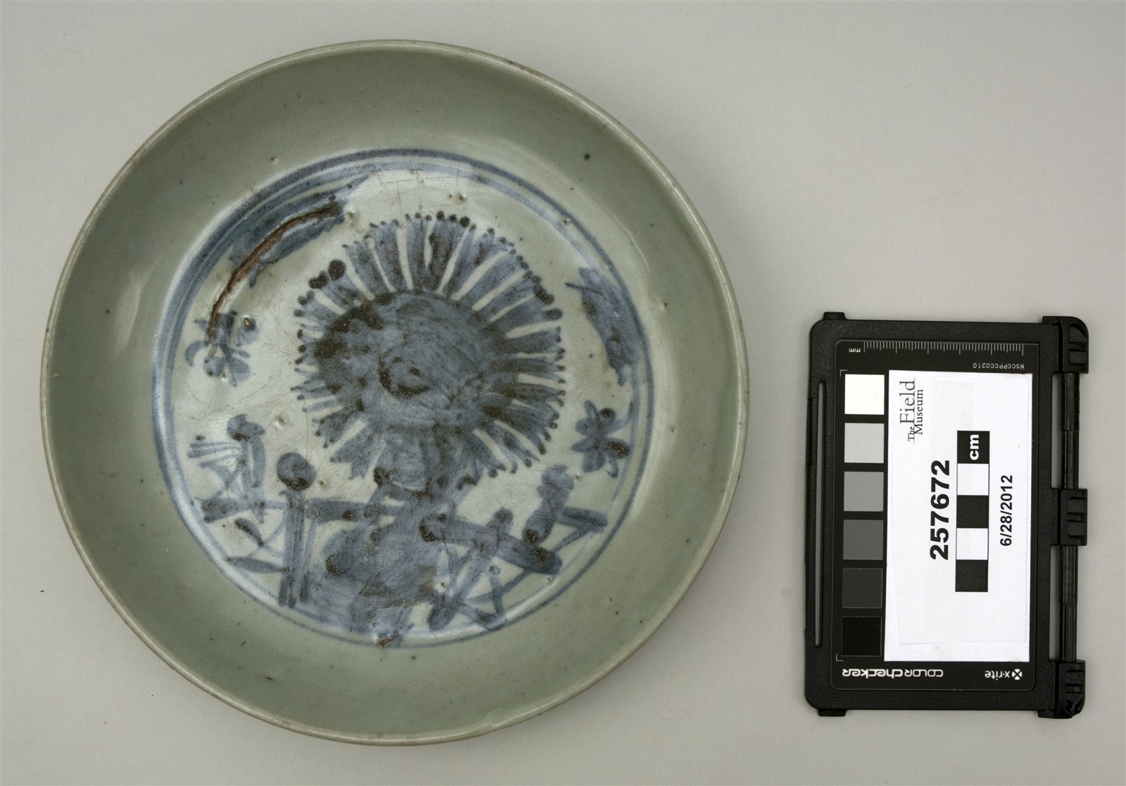 top (c) Field Museum of Natural History - CC BY-NC 4.0