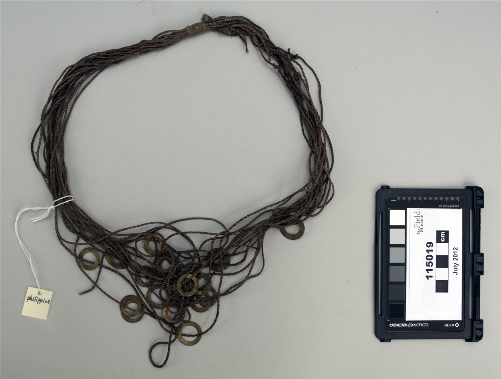 top (c) Field Museum of Natural History - CC BY-NC 4.0