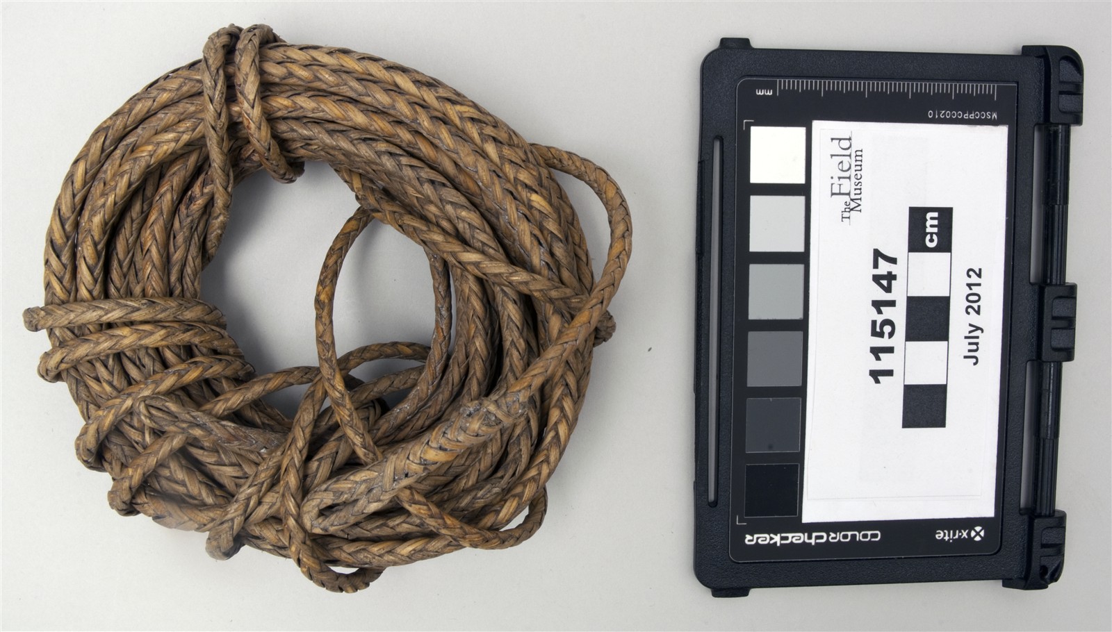 side one (c) Field Museum of Natural History - CC BY-NC 4.0