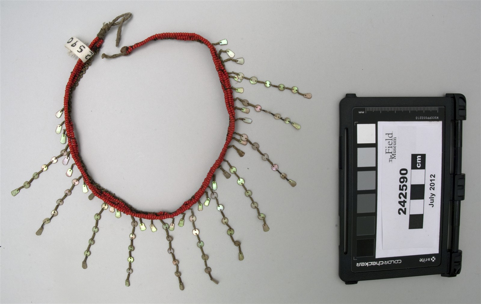 top (c) Field Museum of Natural History - CC BY-NC 4.0