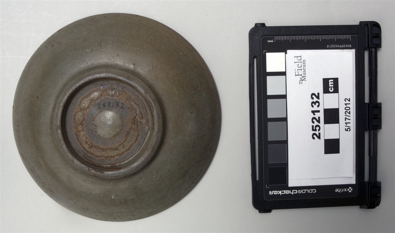 bottom (c) Field Museum of Natural History - CC BY-NC 4.0